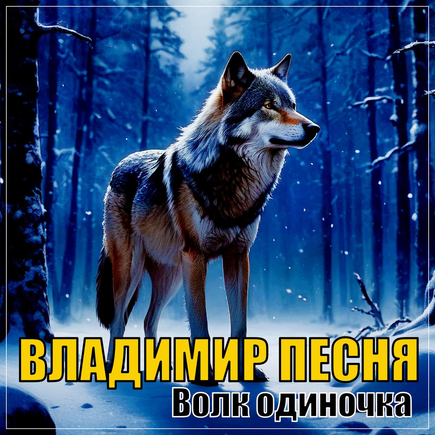 Постер альбома Волк одиночка