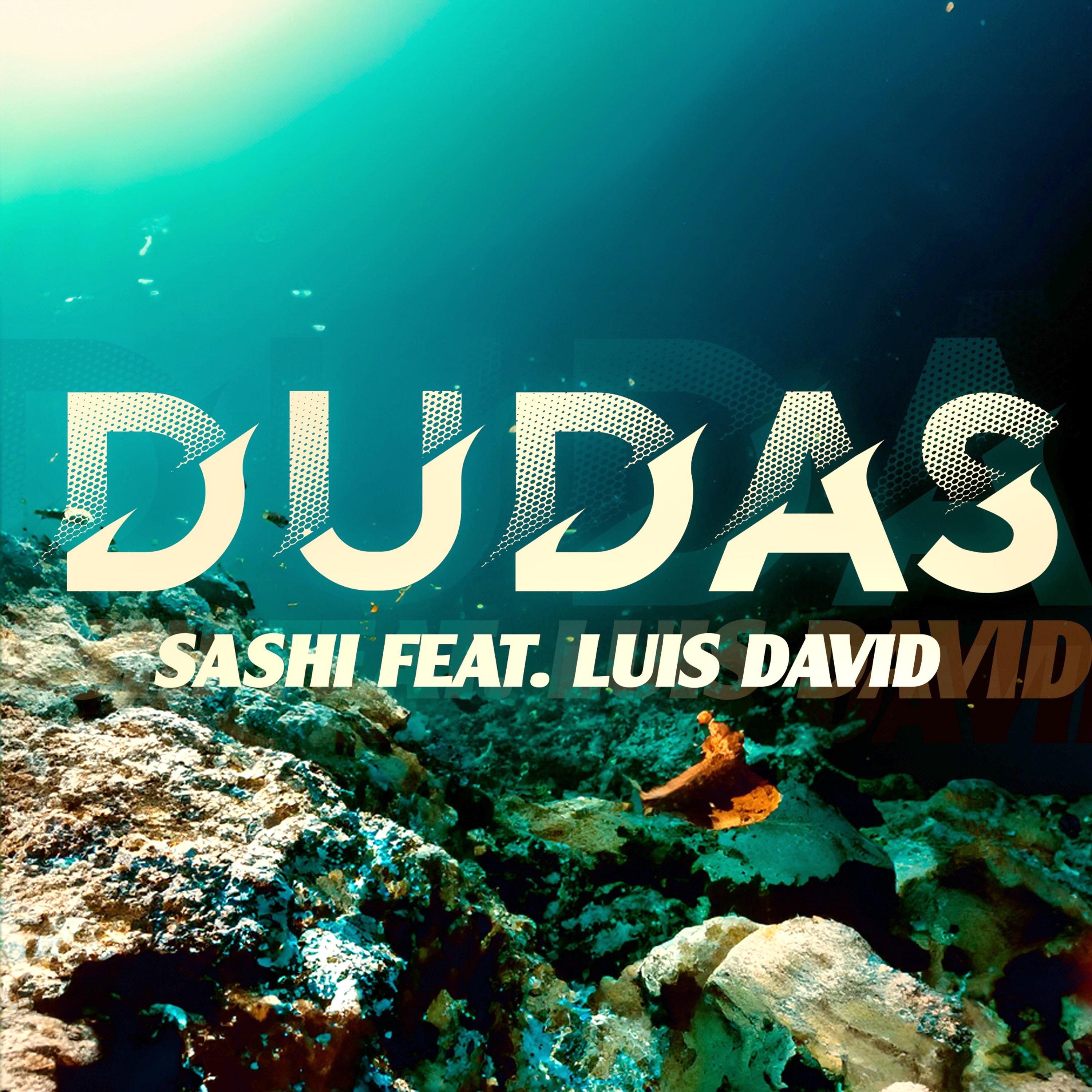 Постер альбома Dudas