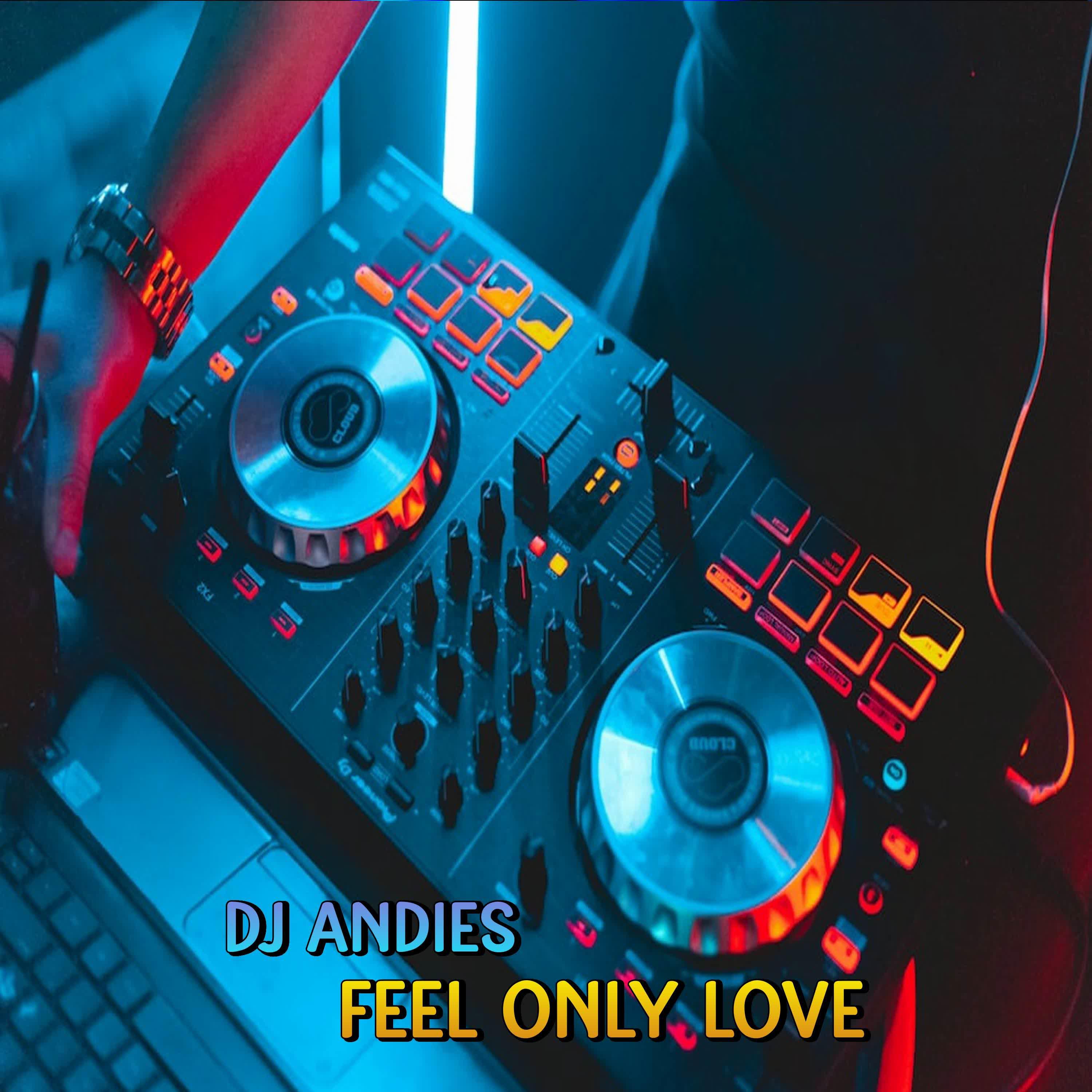 Постер альбома DJ Fell Only Love
