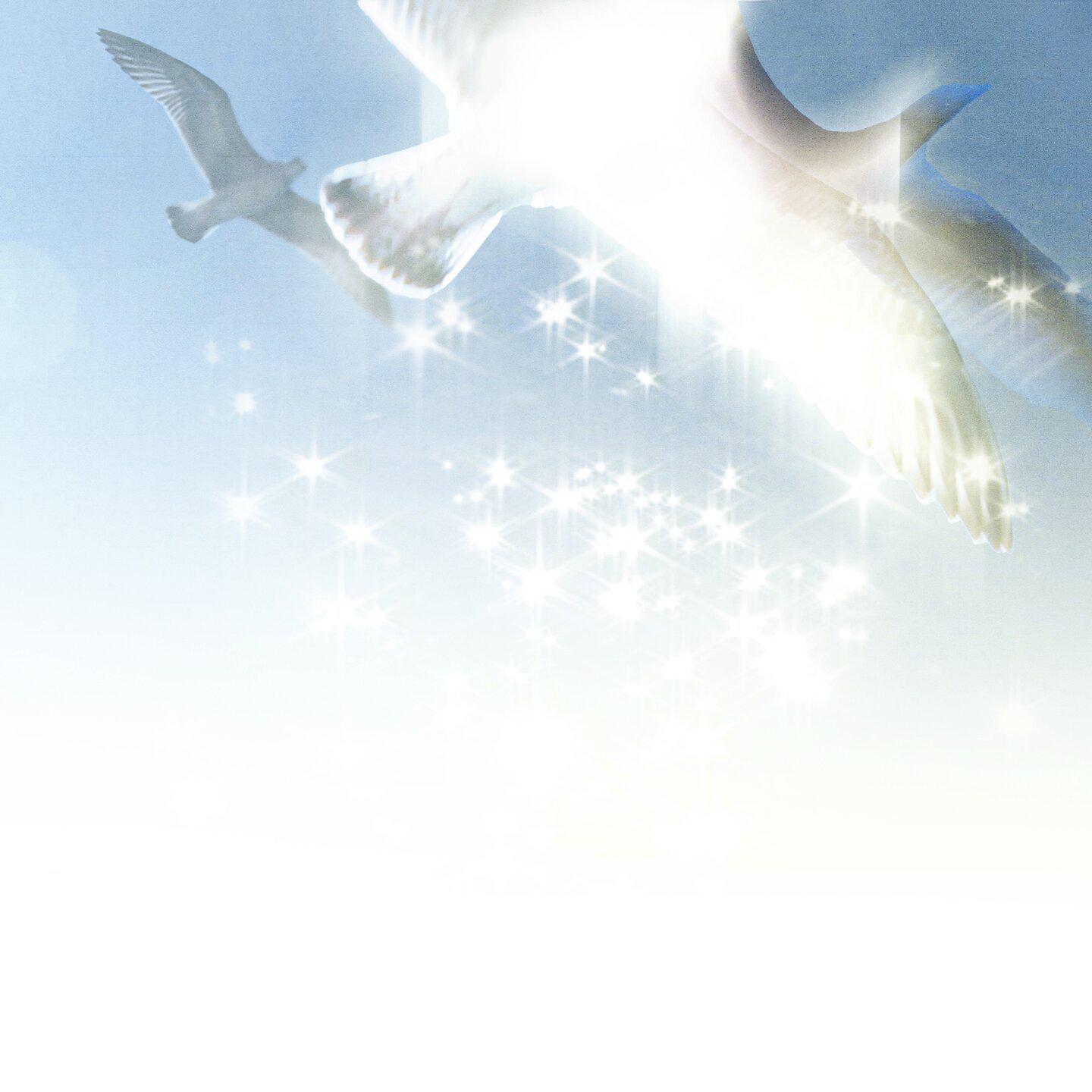 Постер альбома Птицей