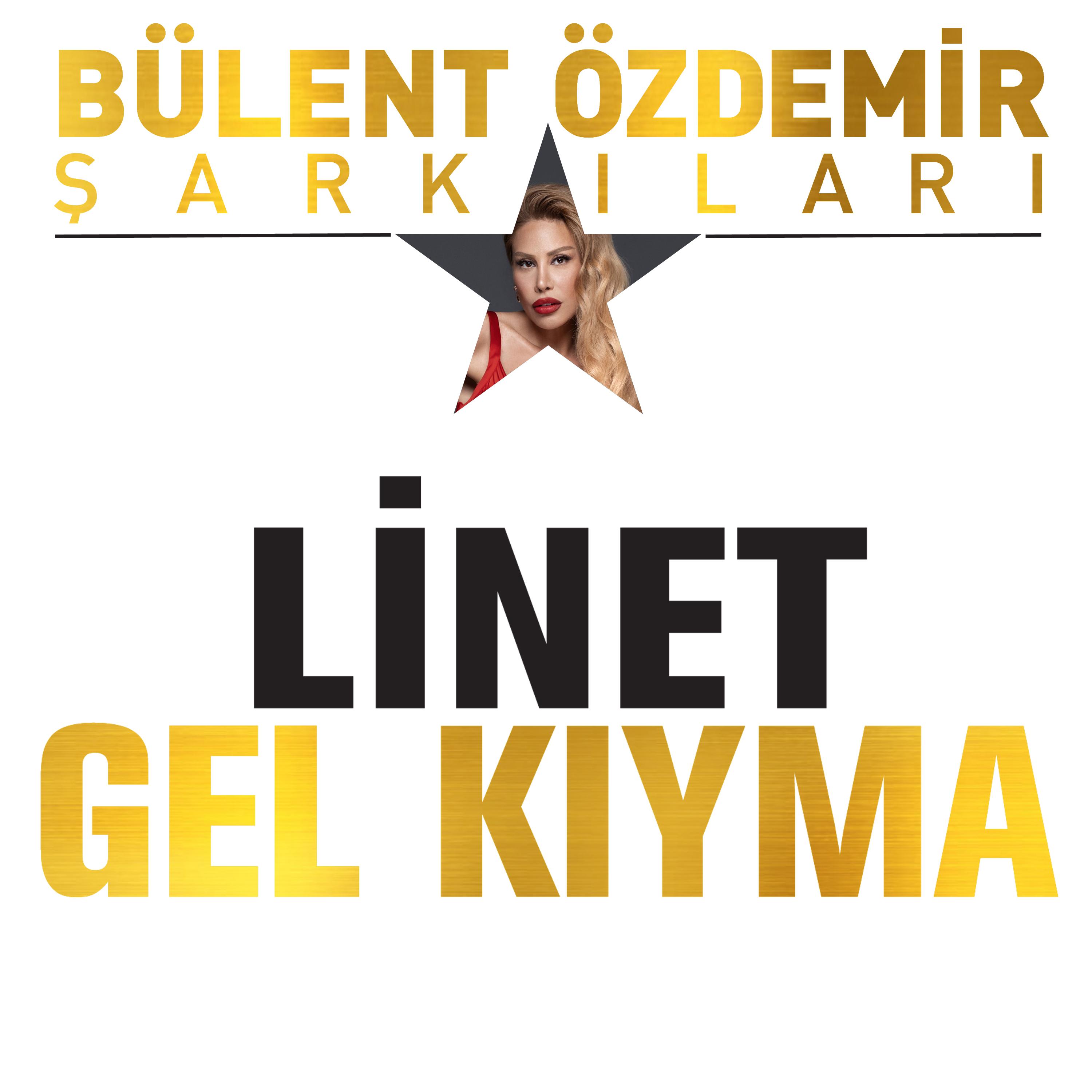 Постер альбома Gel Kıyma