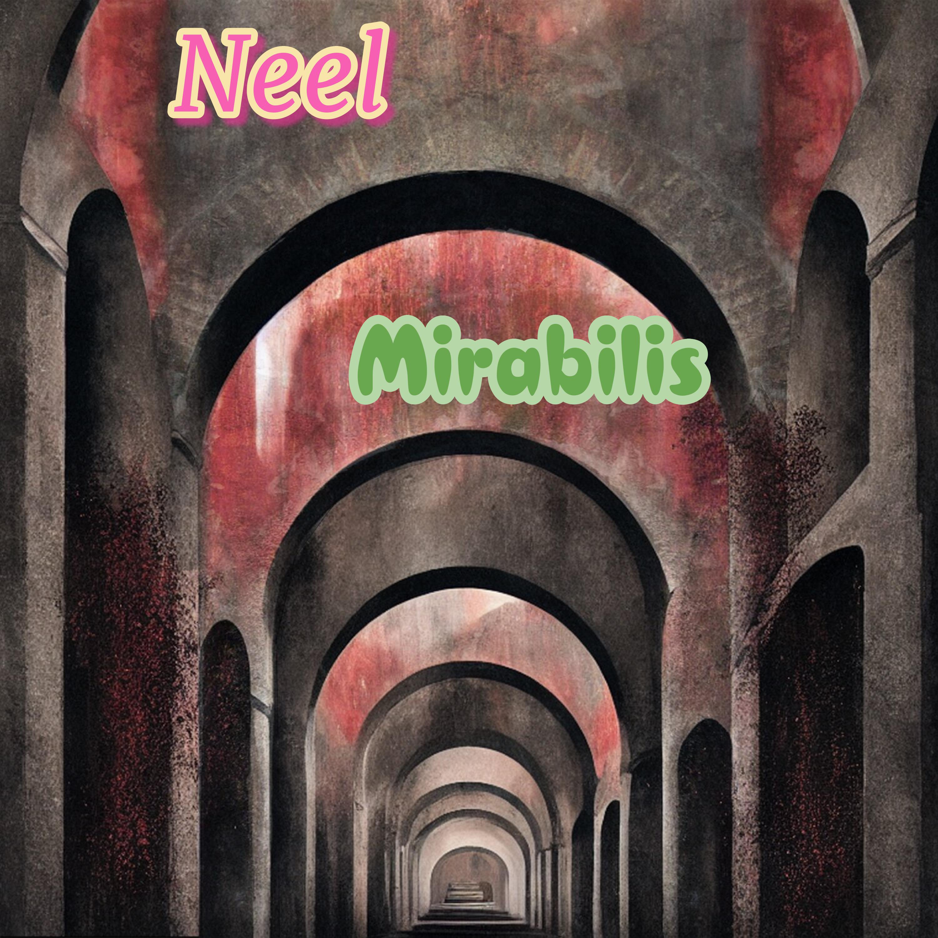 Постер альбома Mirabilis