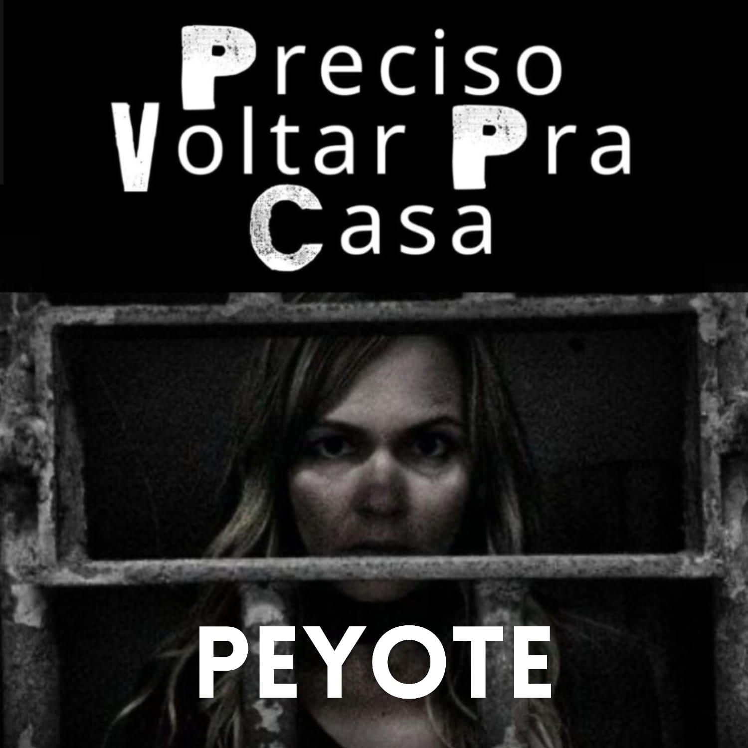 Постер альбома Preciso Voltar Pra Casa