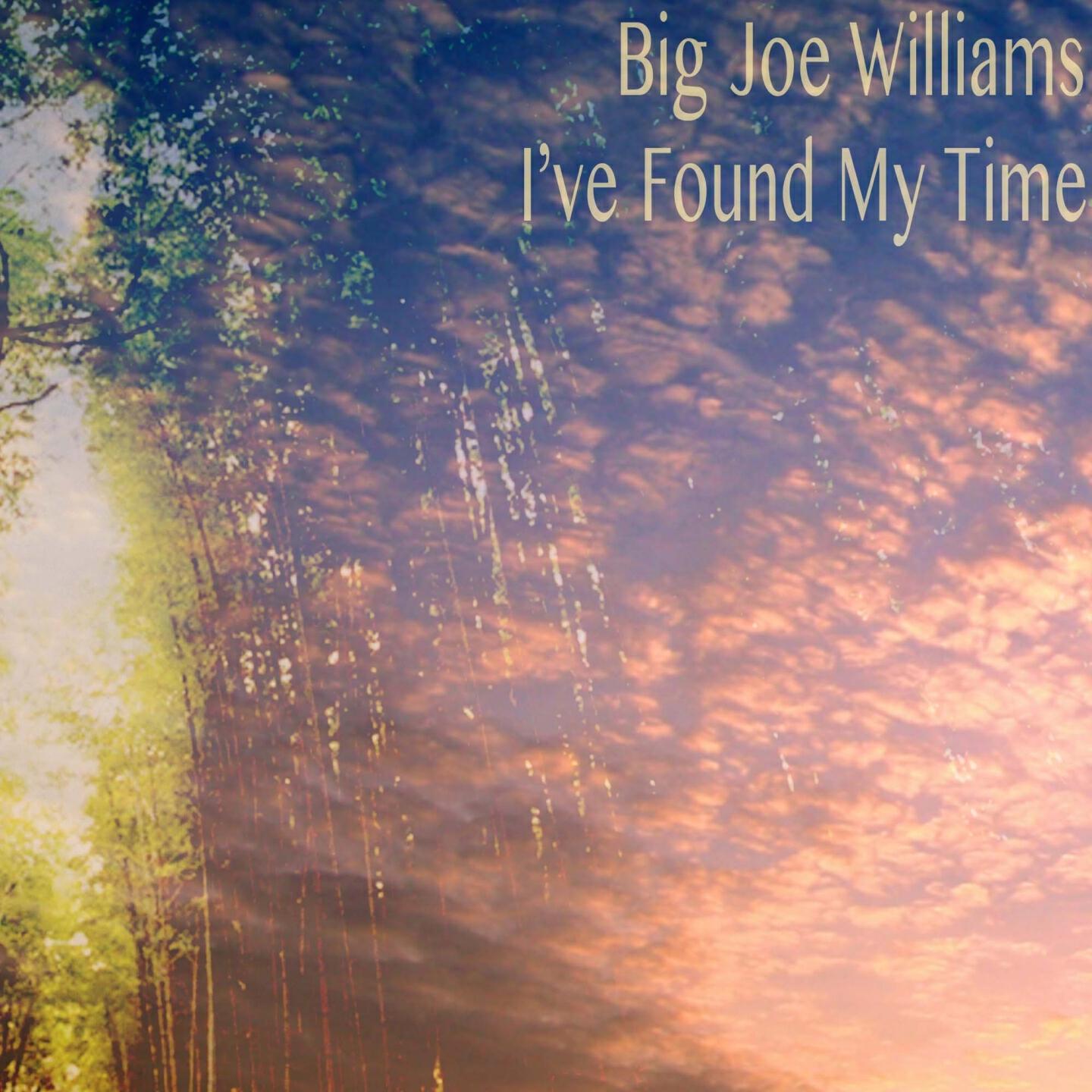 Big Joe Williams - I Wont Be in Hard Luck No More (Remastered)