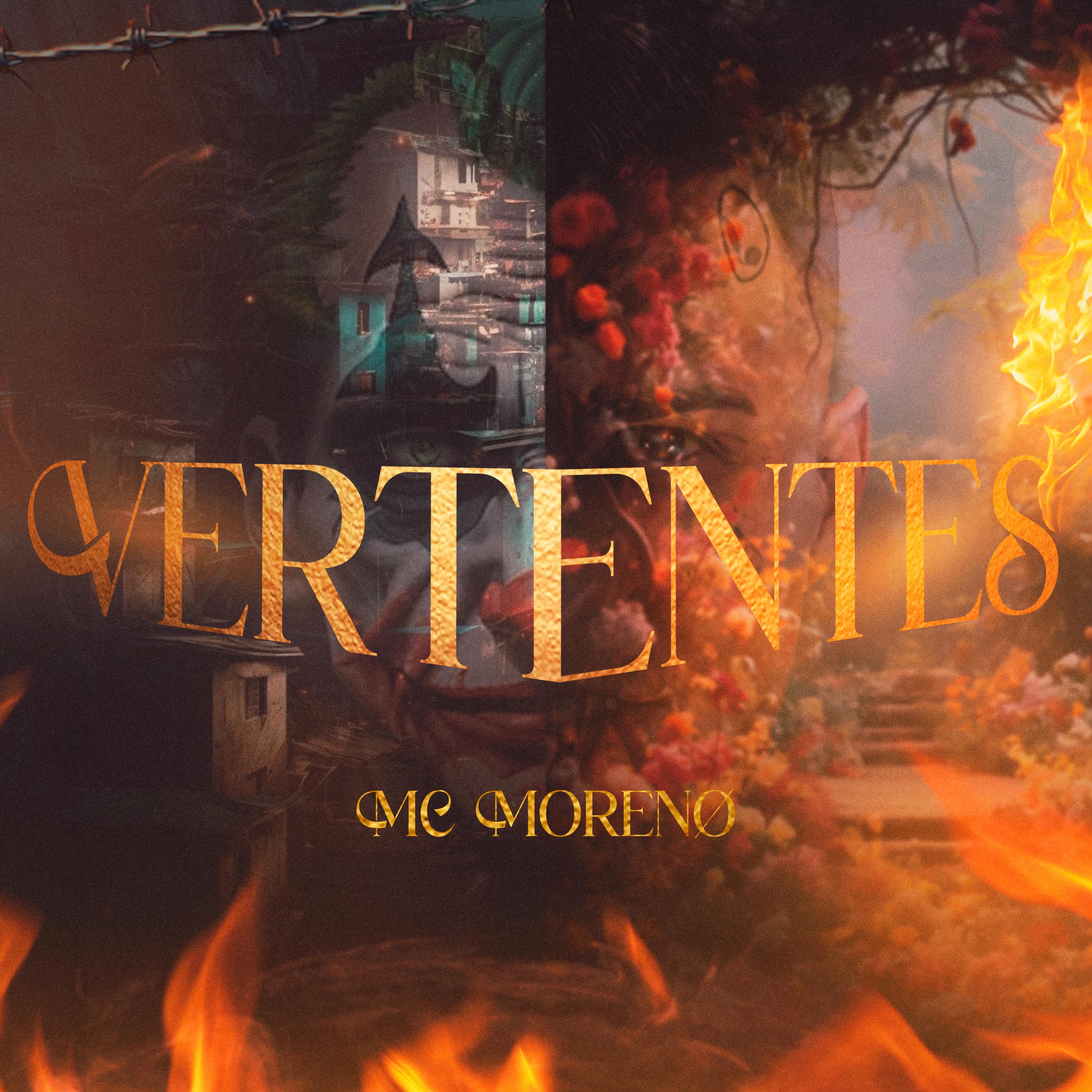 Постер альбома Vertentes