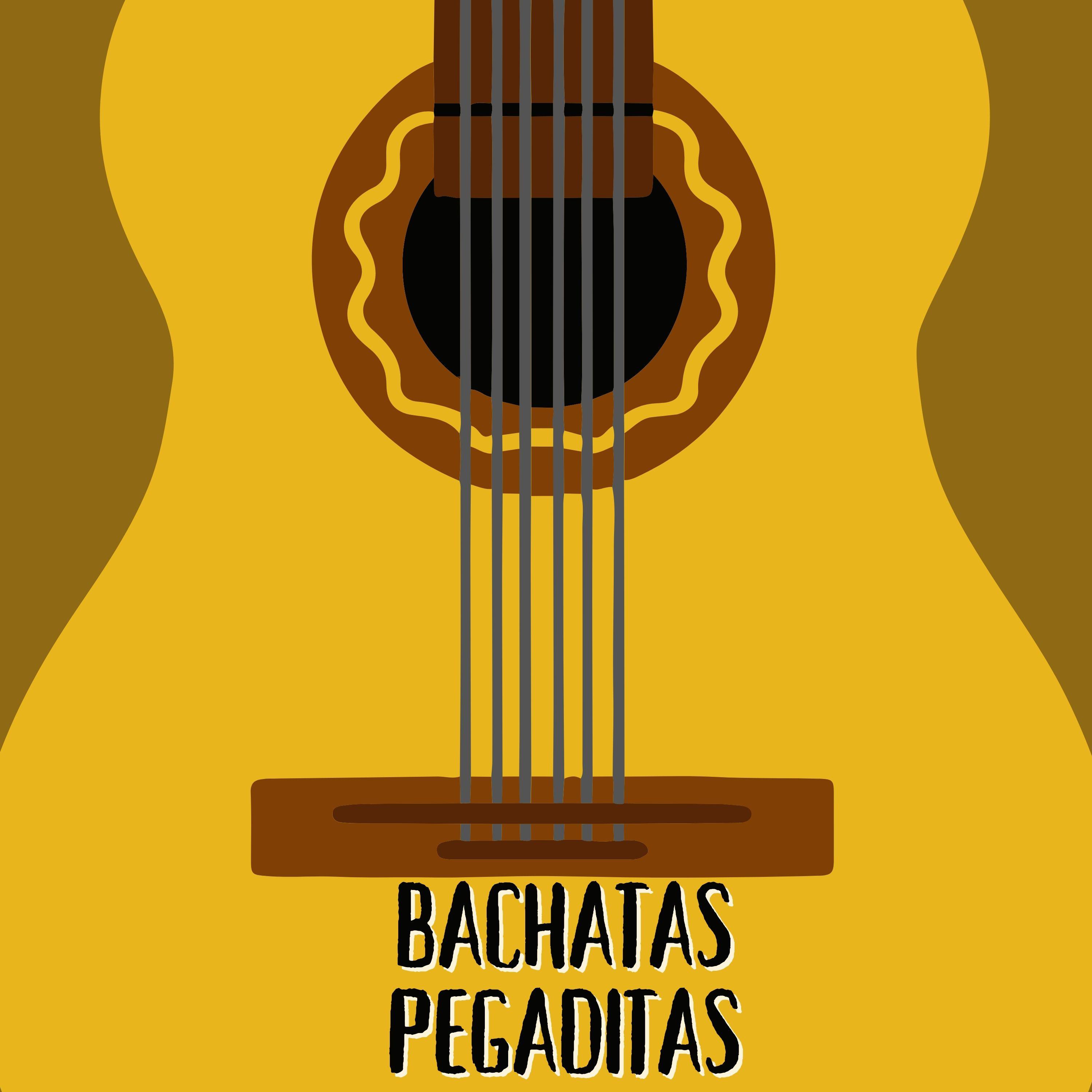 Постер альбома Bachatas pegaditas