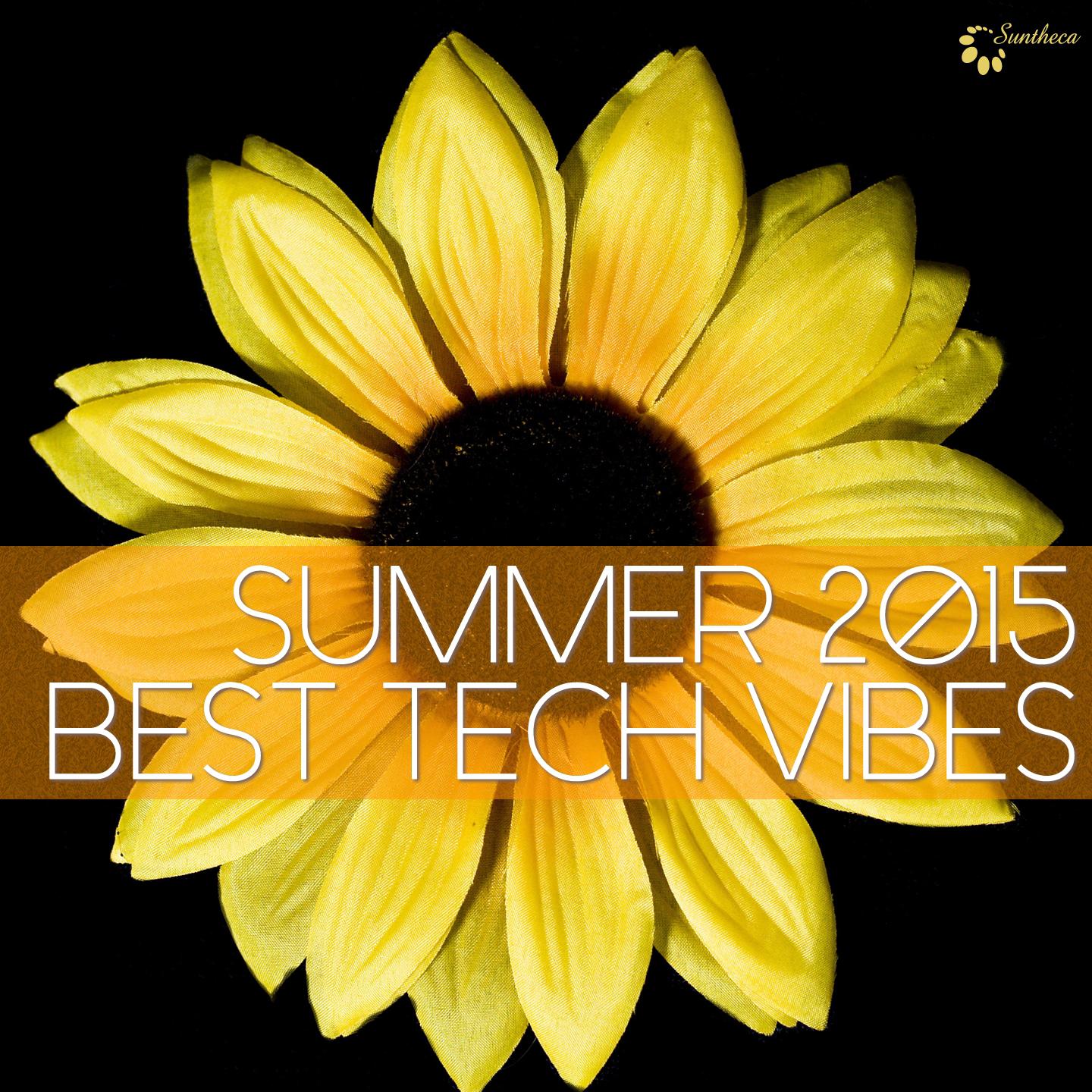 Постер альбома Summer 2015 Best Tech Vibes