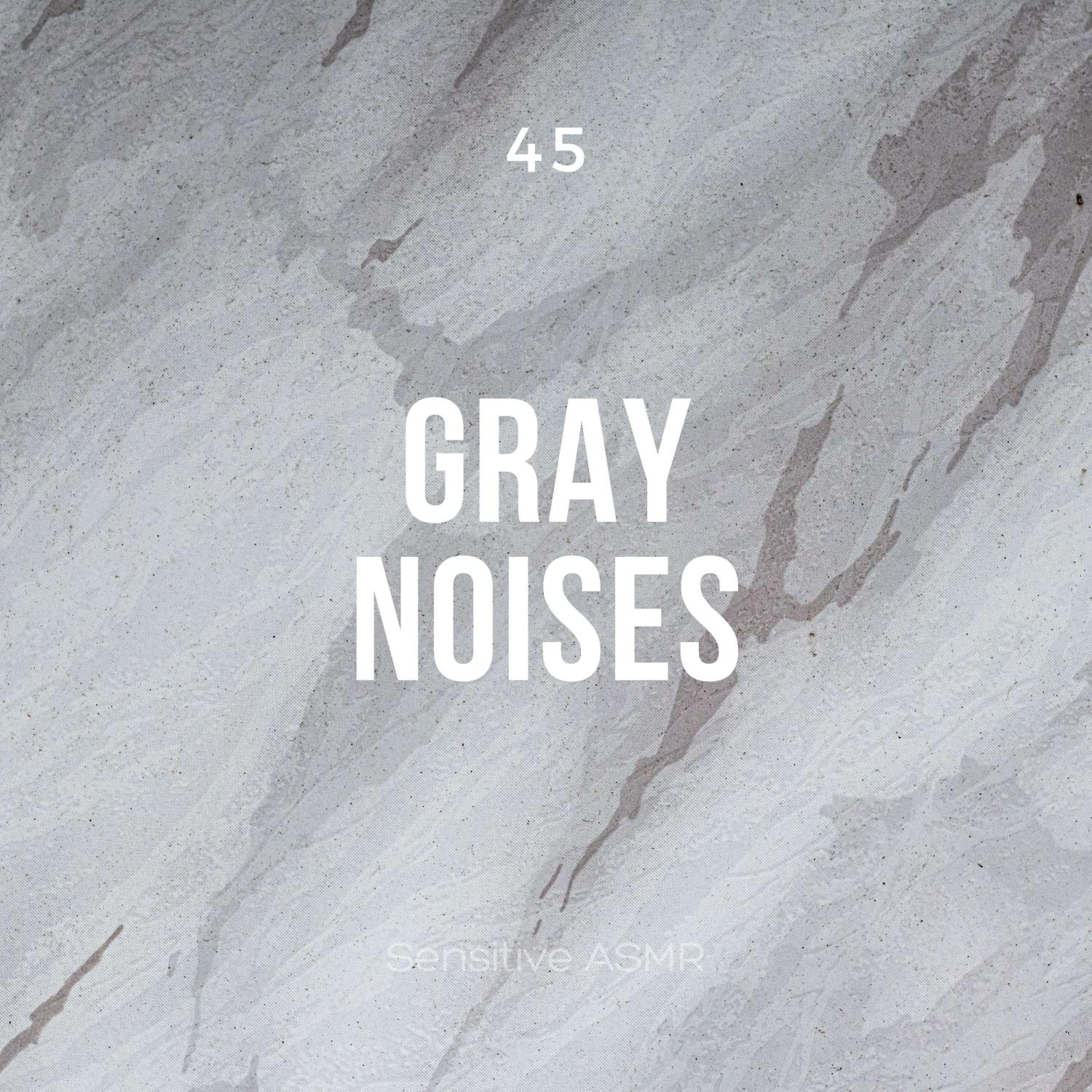 Постер альбома 45 Gray Noises