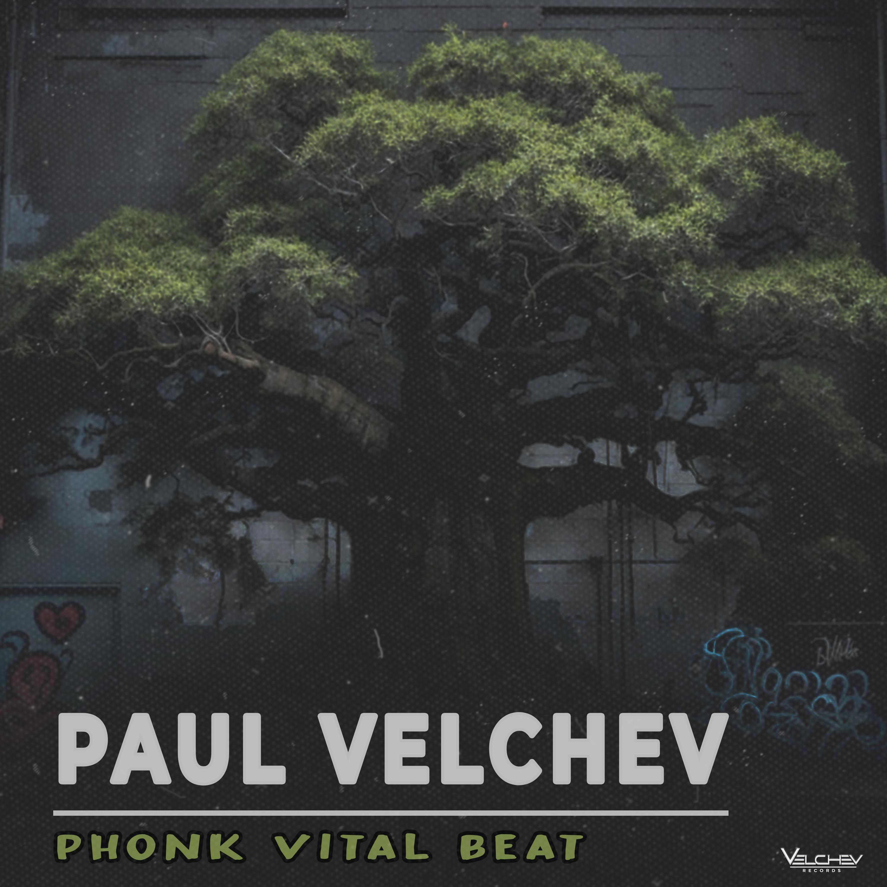 Постер альбома Phonk Vital Beat
