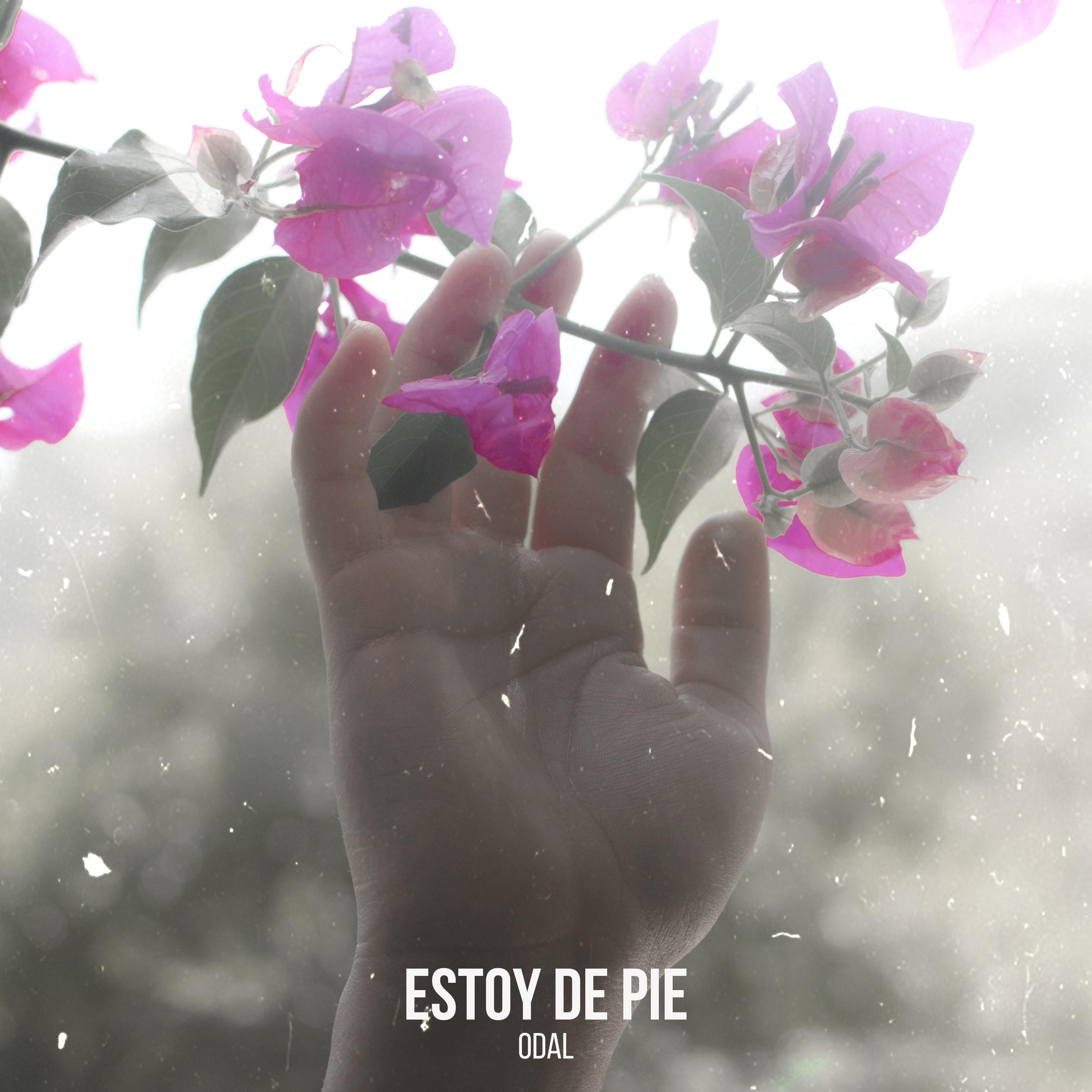 Постер альбома Estoy de Pie