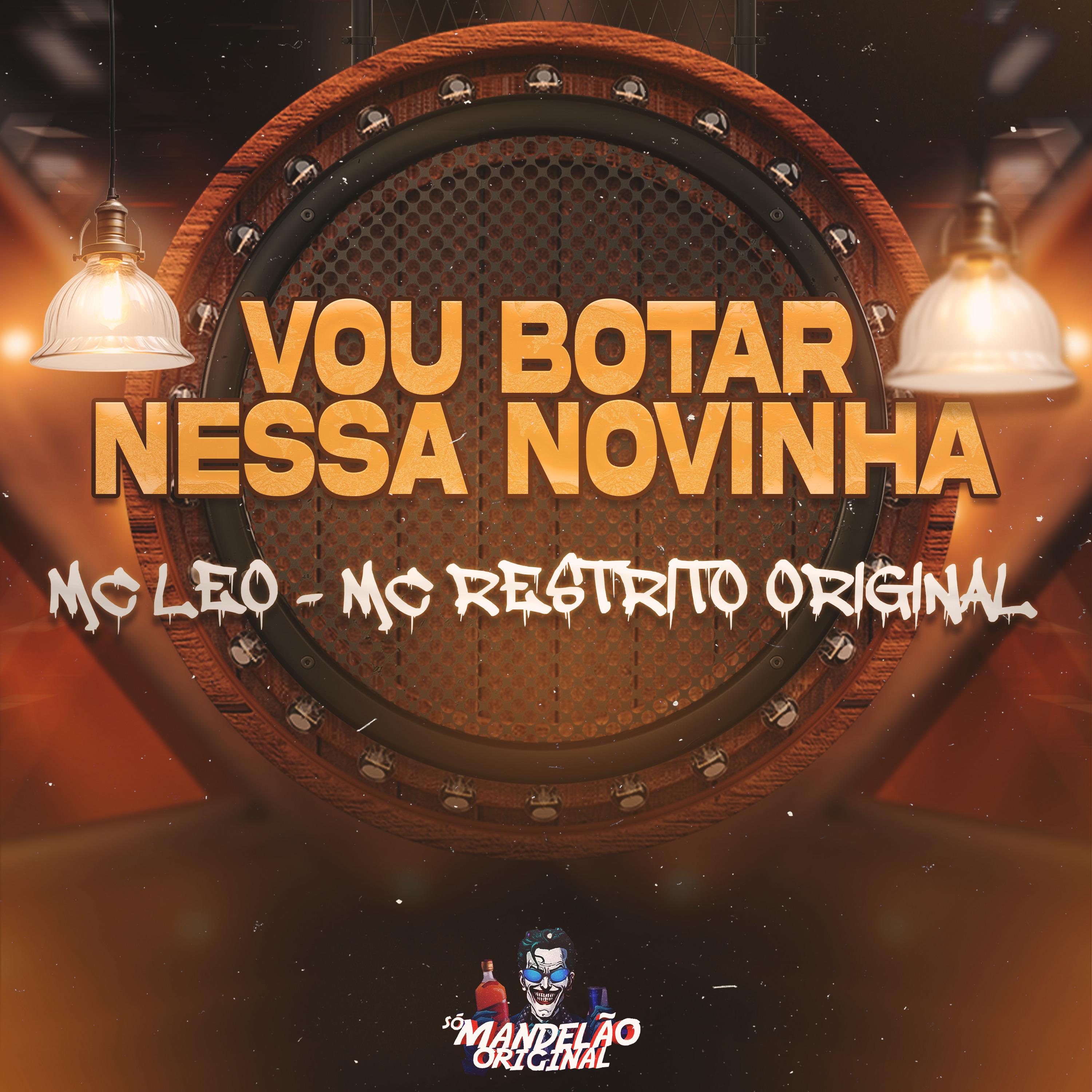 Постер альбома Vou Botar Nessa Novinha