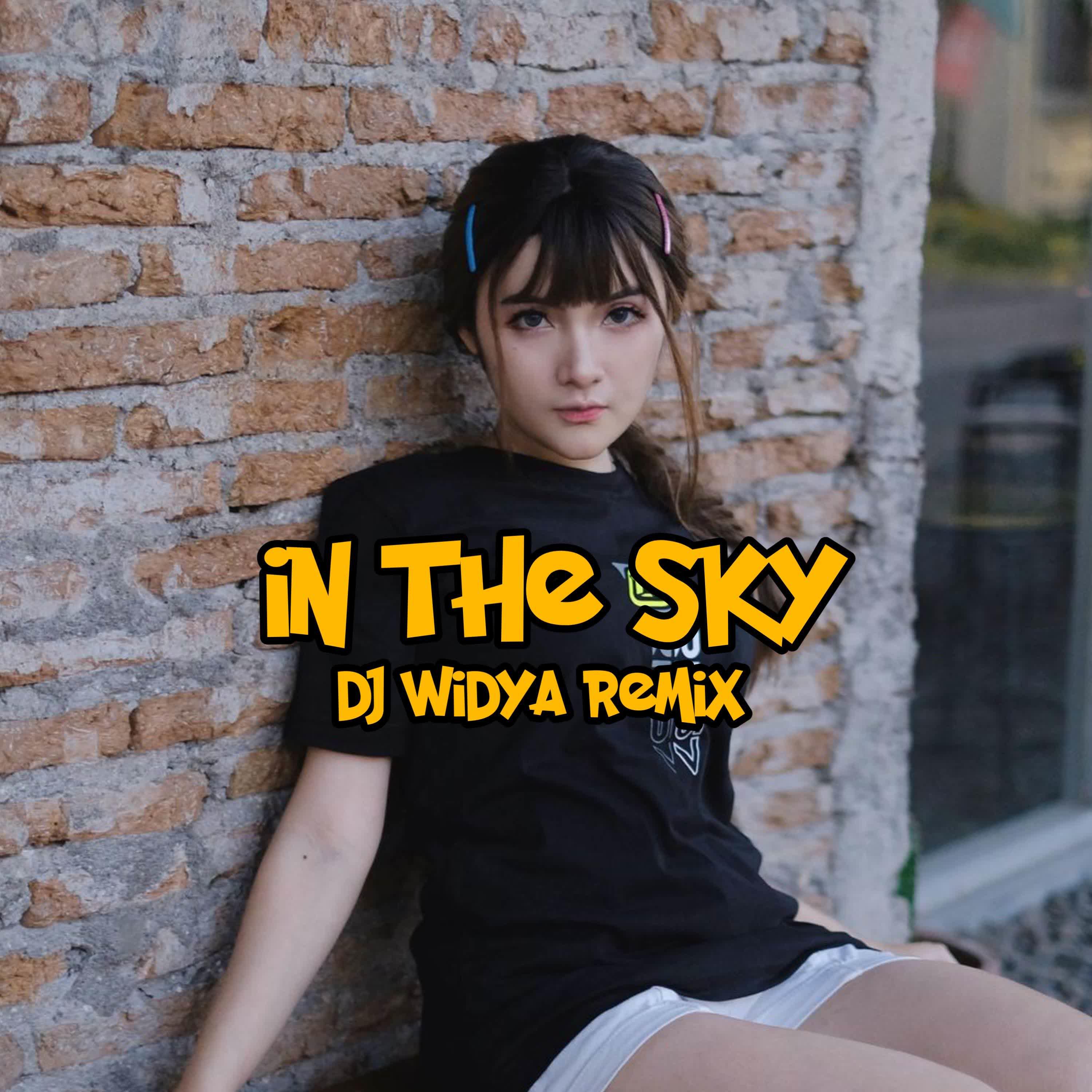Постер альбома DJ In The Sky