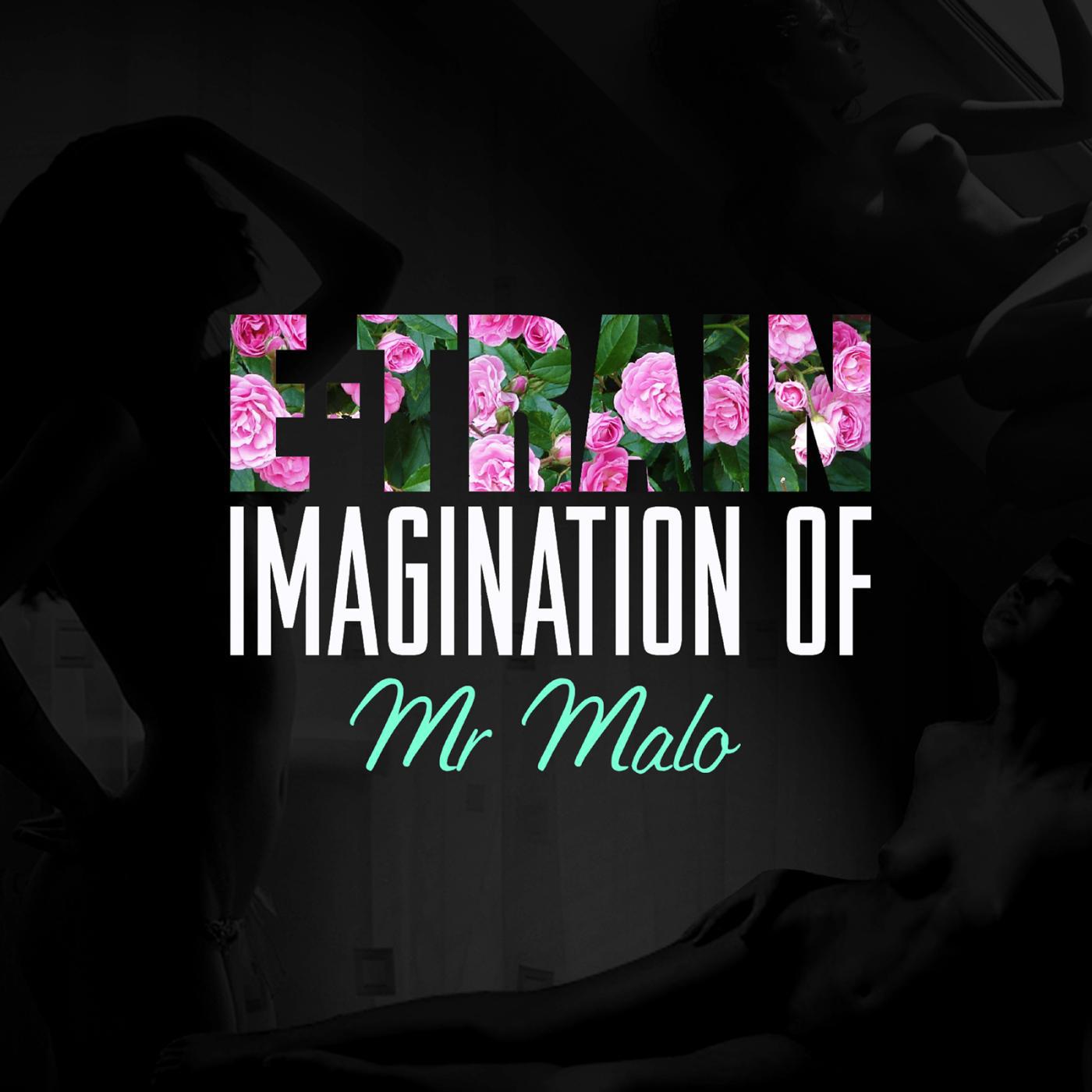 Постер альбома Imagination of Mr. Malo