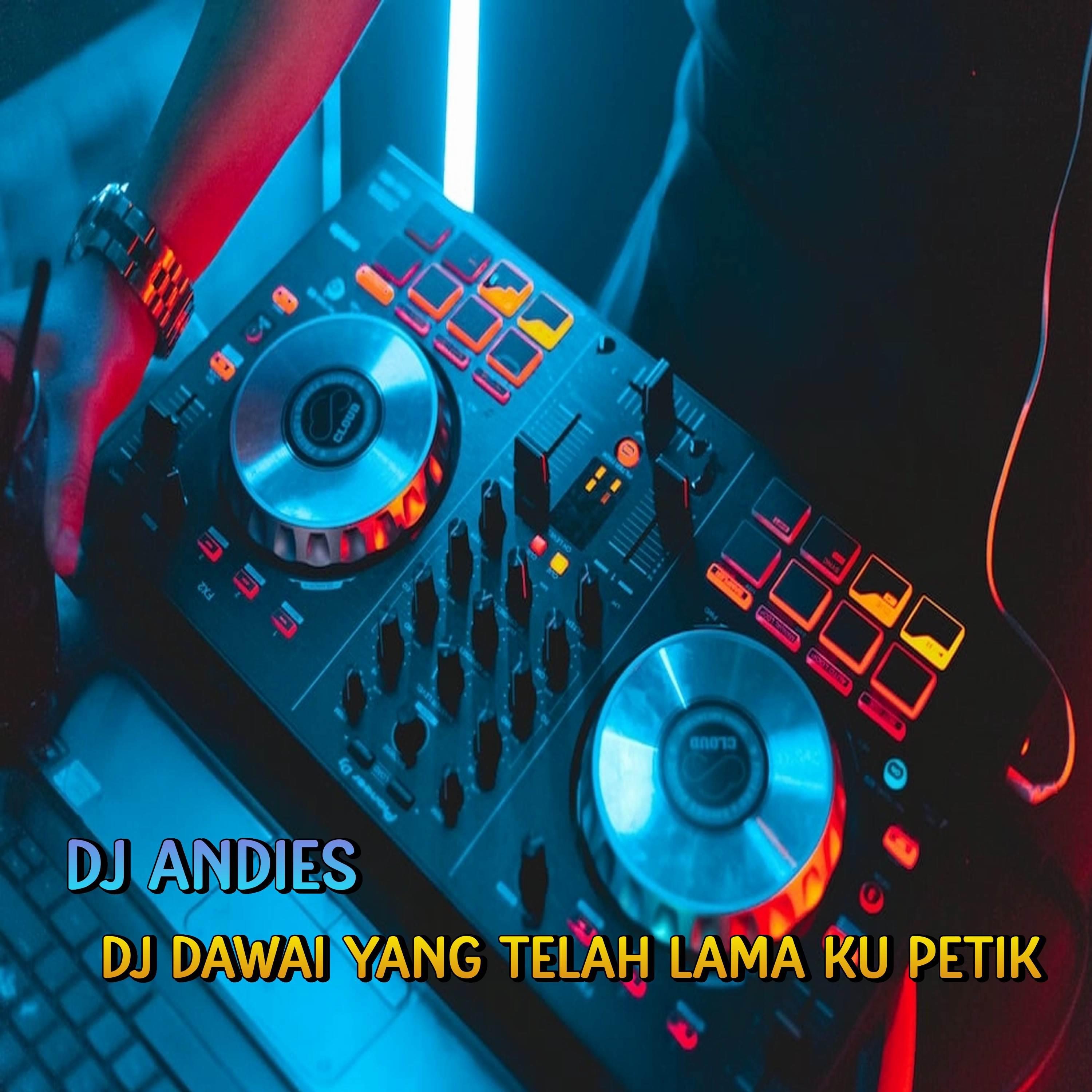 Постер альбома DJ Dawai Yang Telah Lama Ku petik