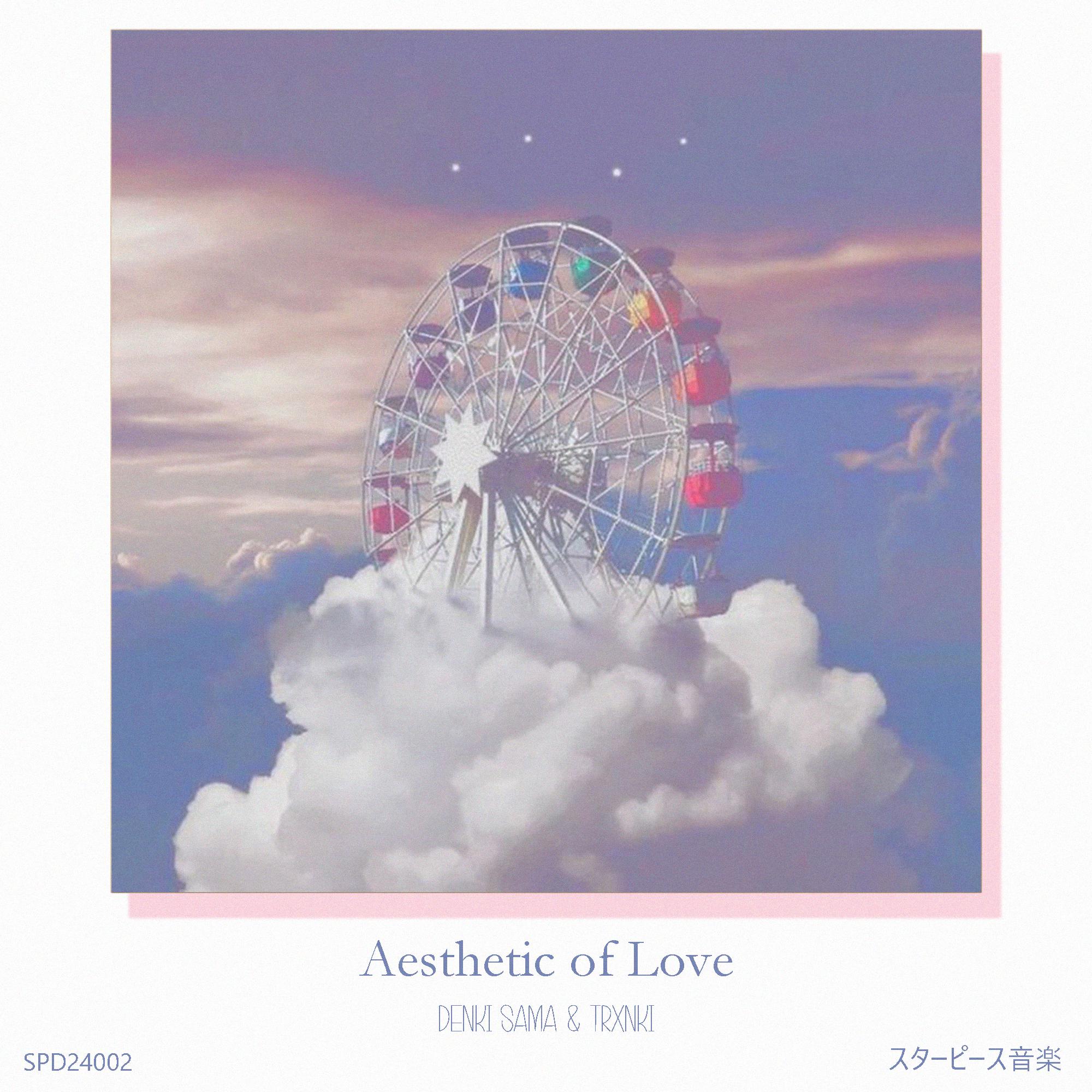 Постер альбома Aesthetic of Love