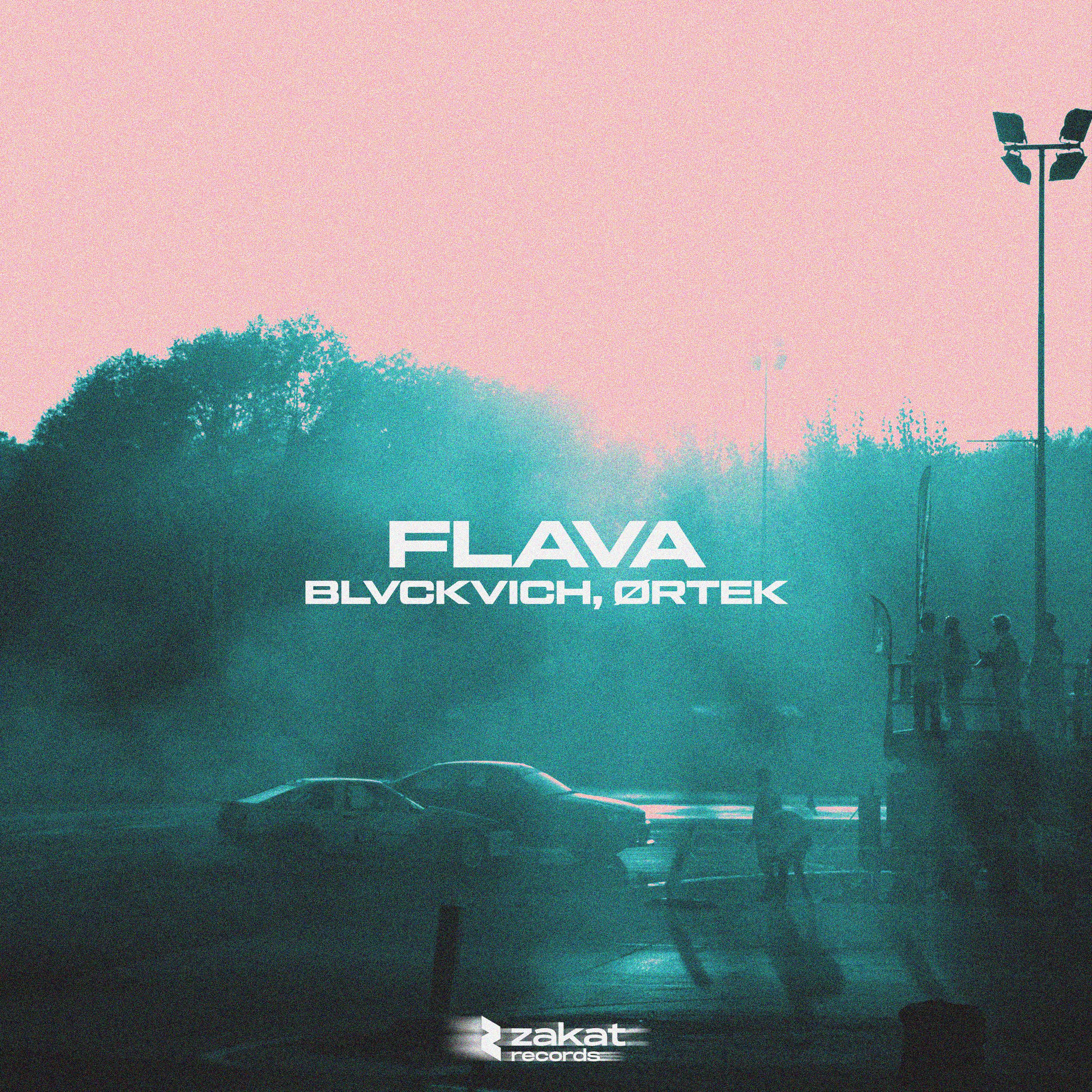 Постер альбома FLAVA
