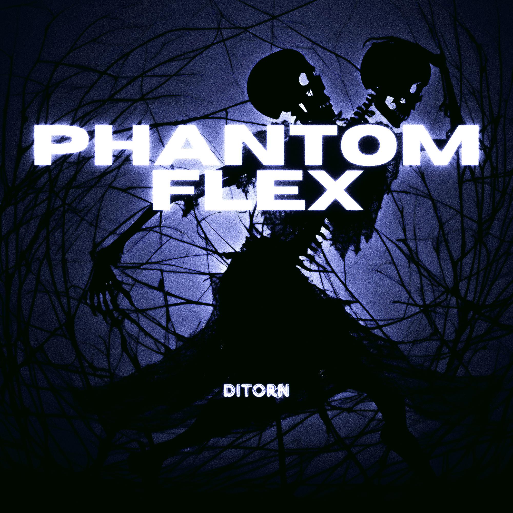 Постер альбома Phantom Flex