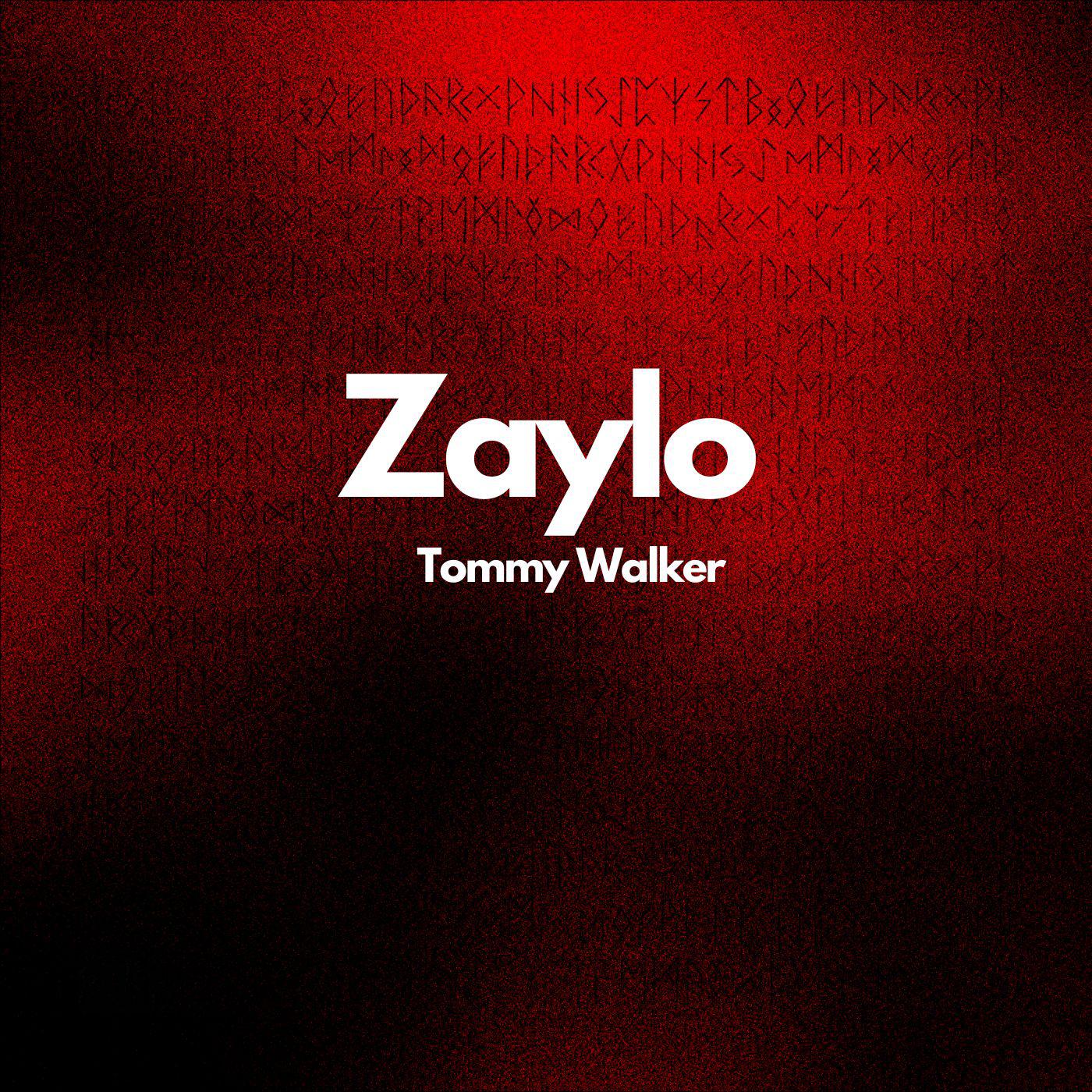 Постер альбома Zaylo