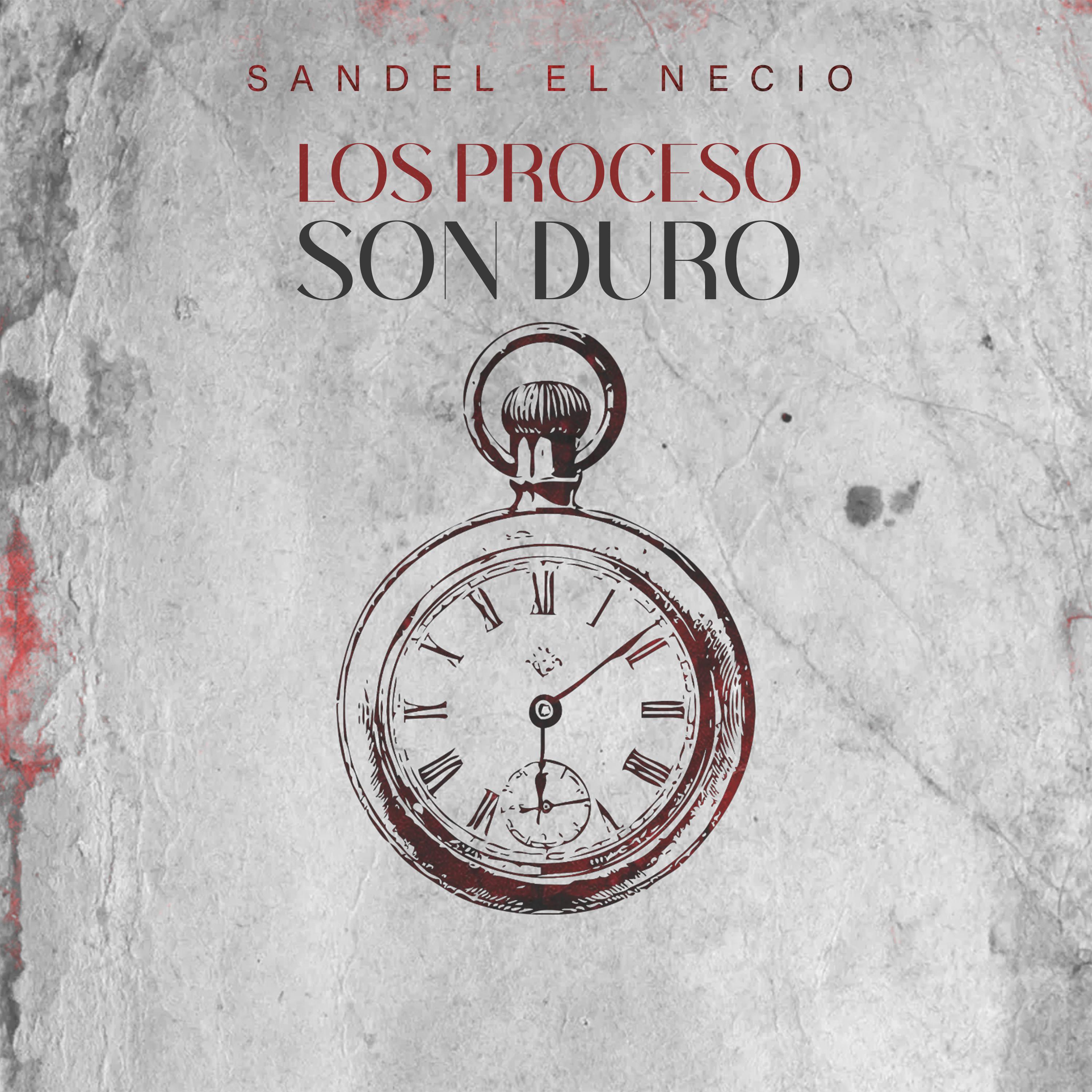 Постер альбома Los Proceso Son Duro