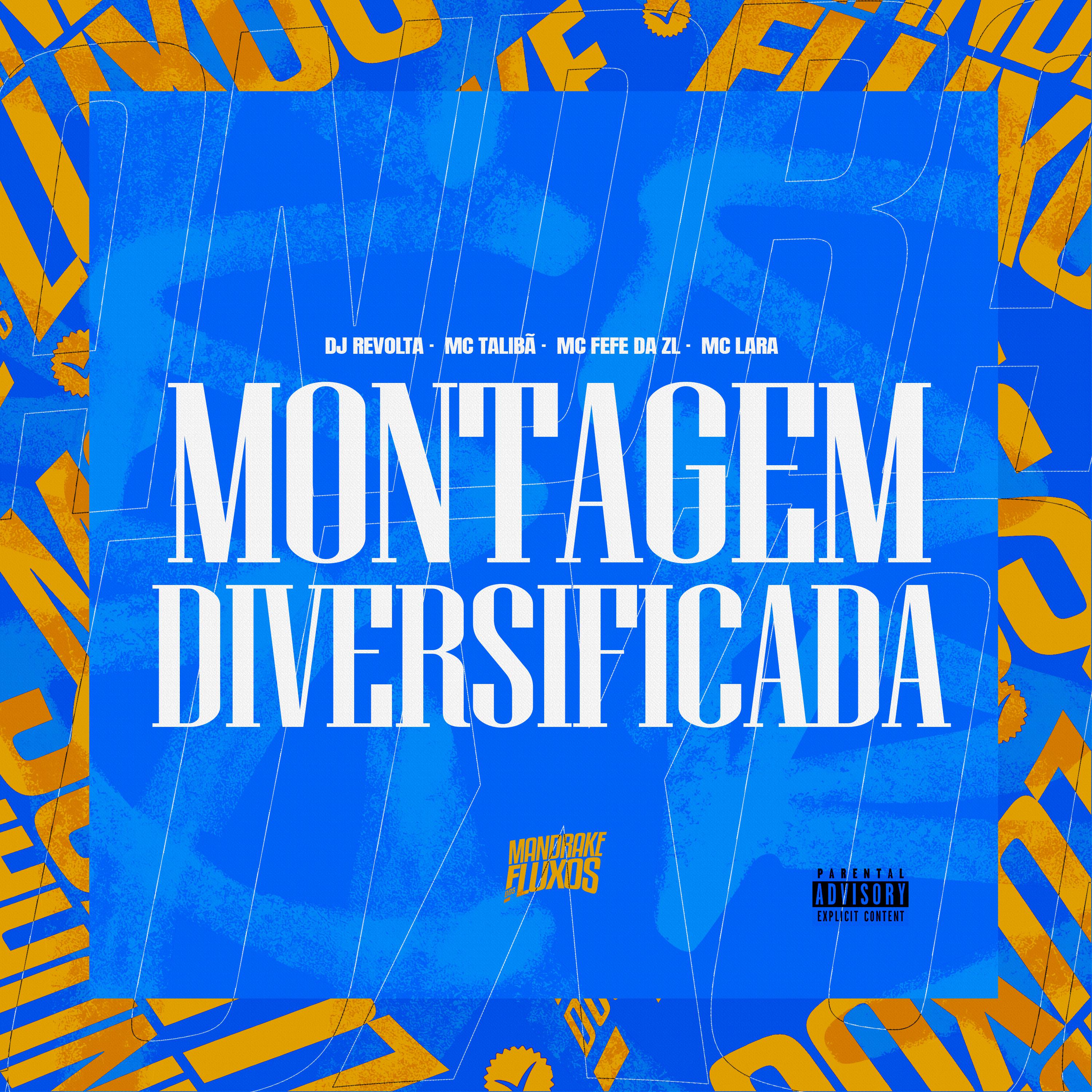 Постер альбома Montagem Diversificada