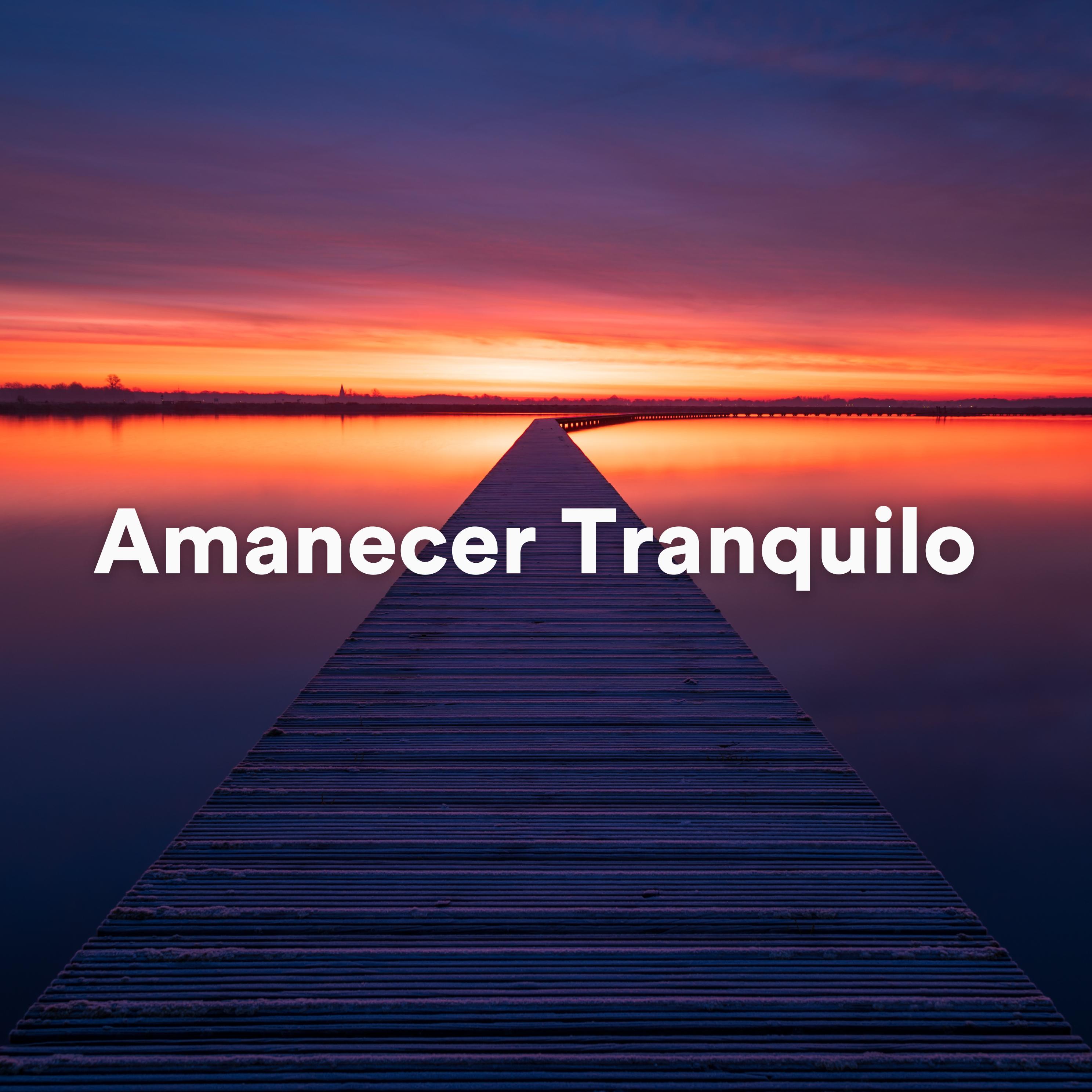 Постер альбома Amanecer Tranquilo