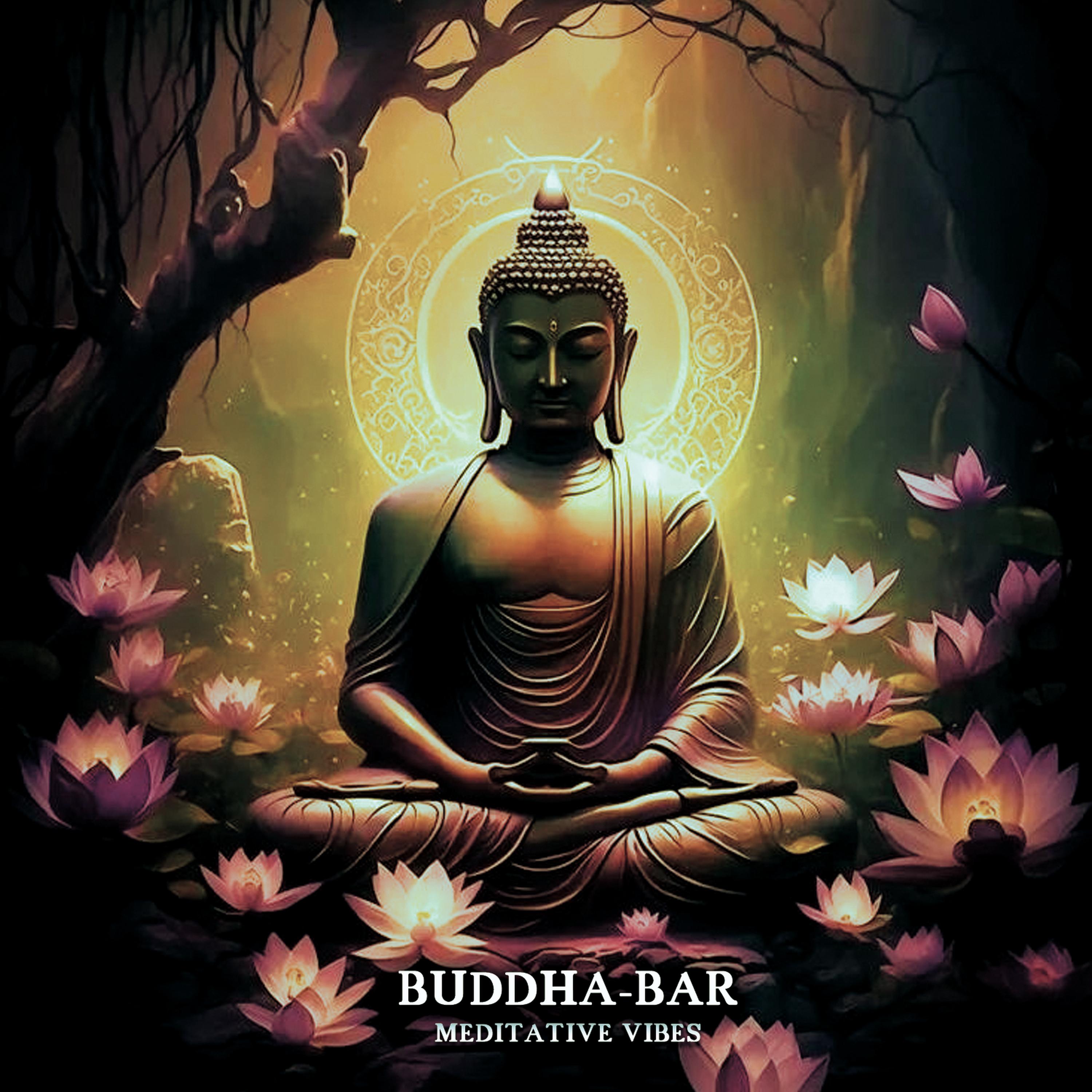 Постер альбома Meditative Vibes