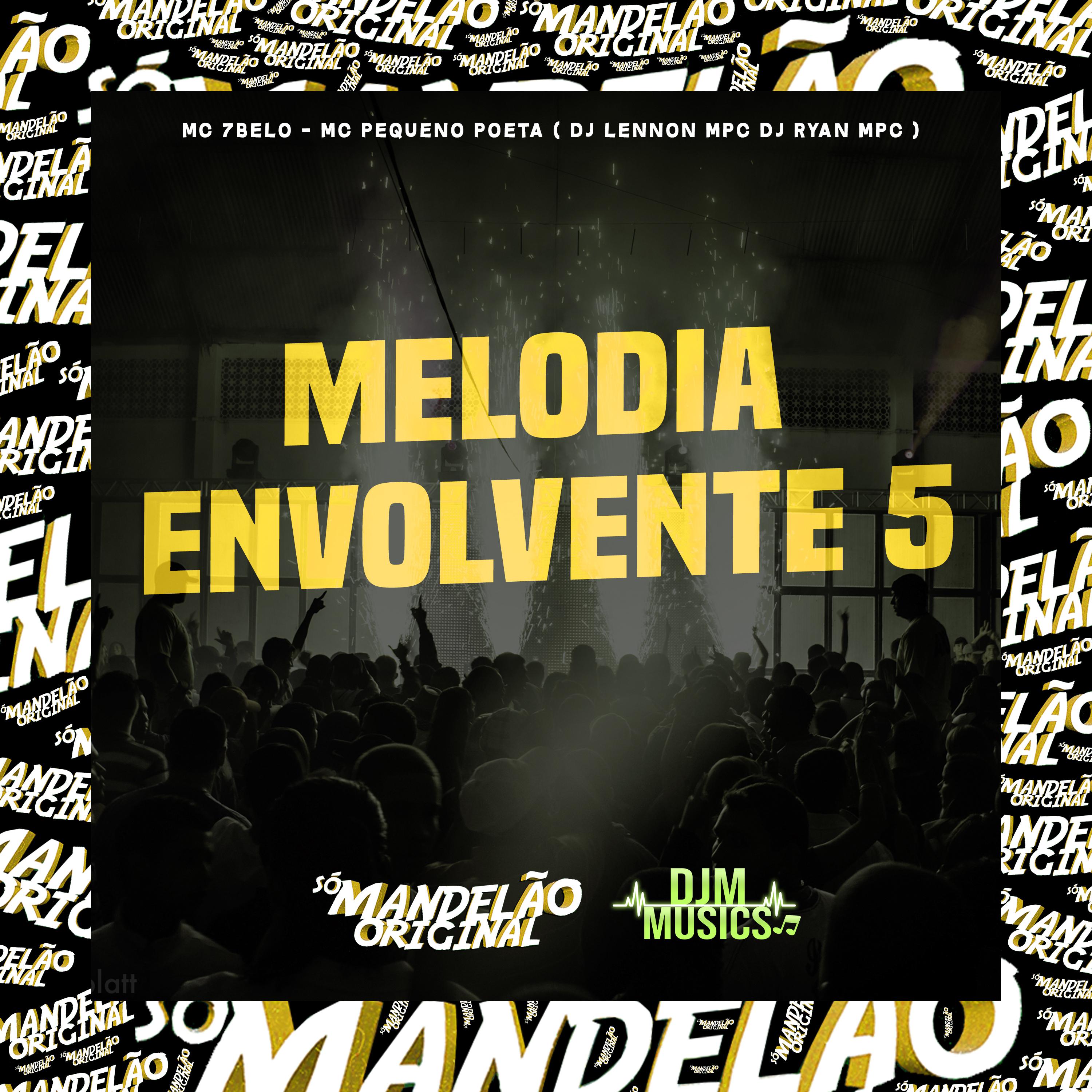 Постер альбома Melodia Envolvente 5