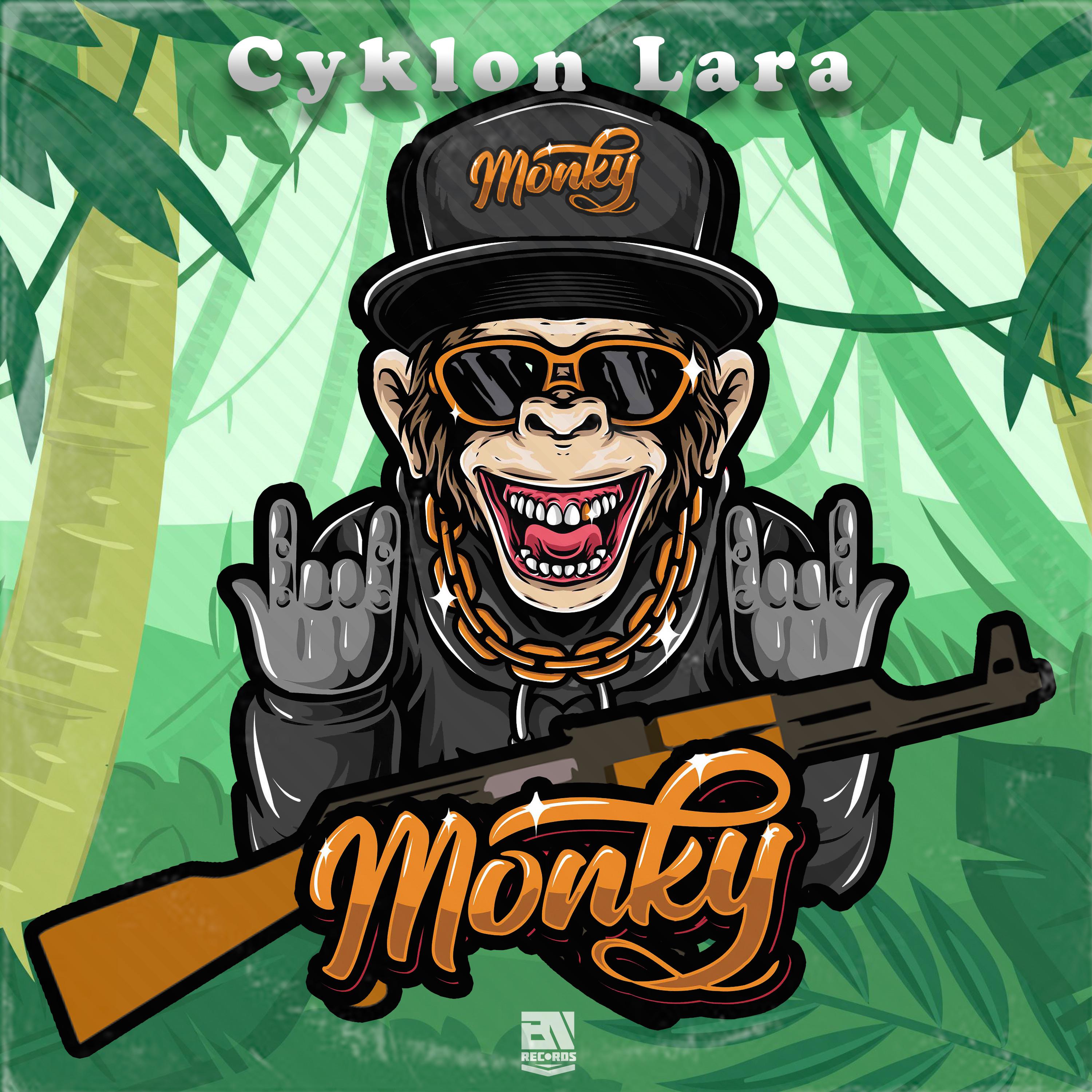 Постер альбома Monky