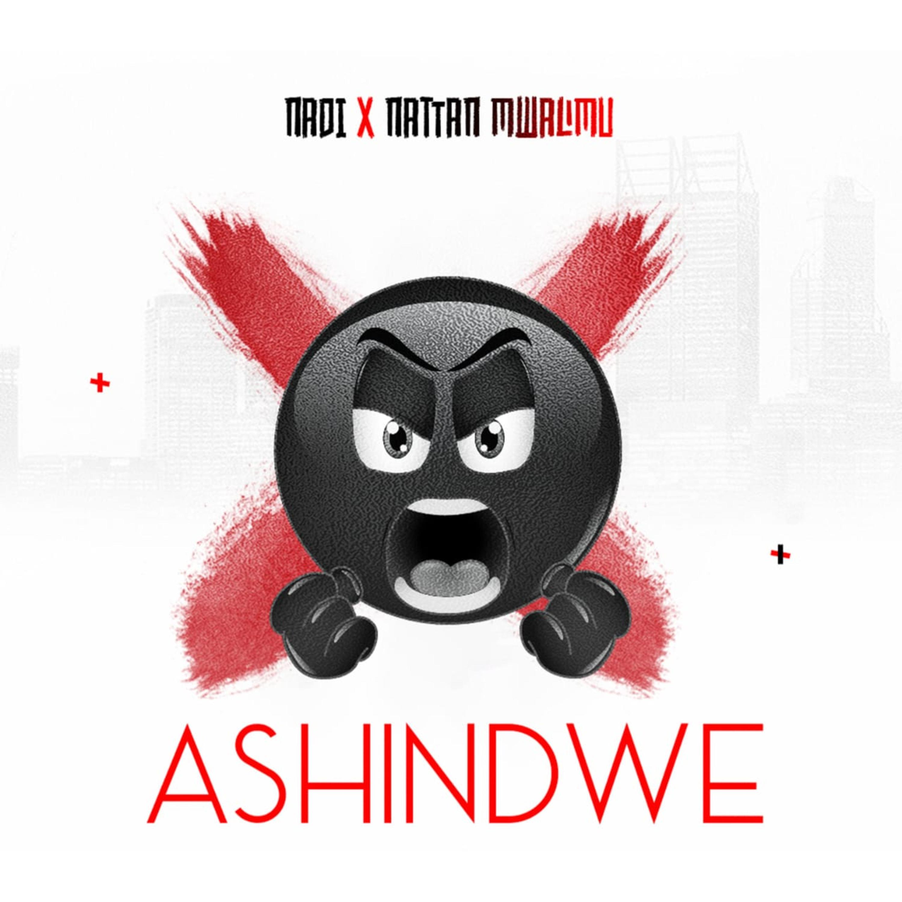Постер альбома Ashindwe