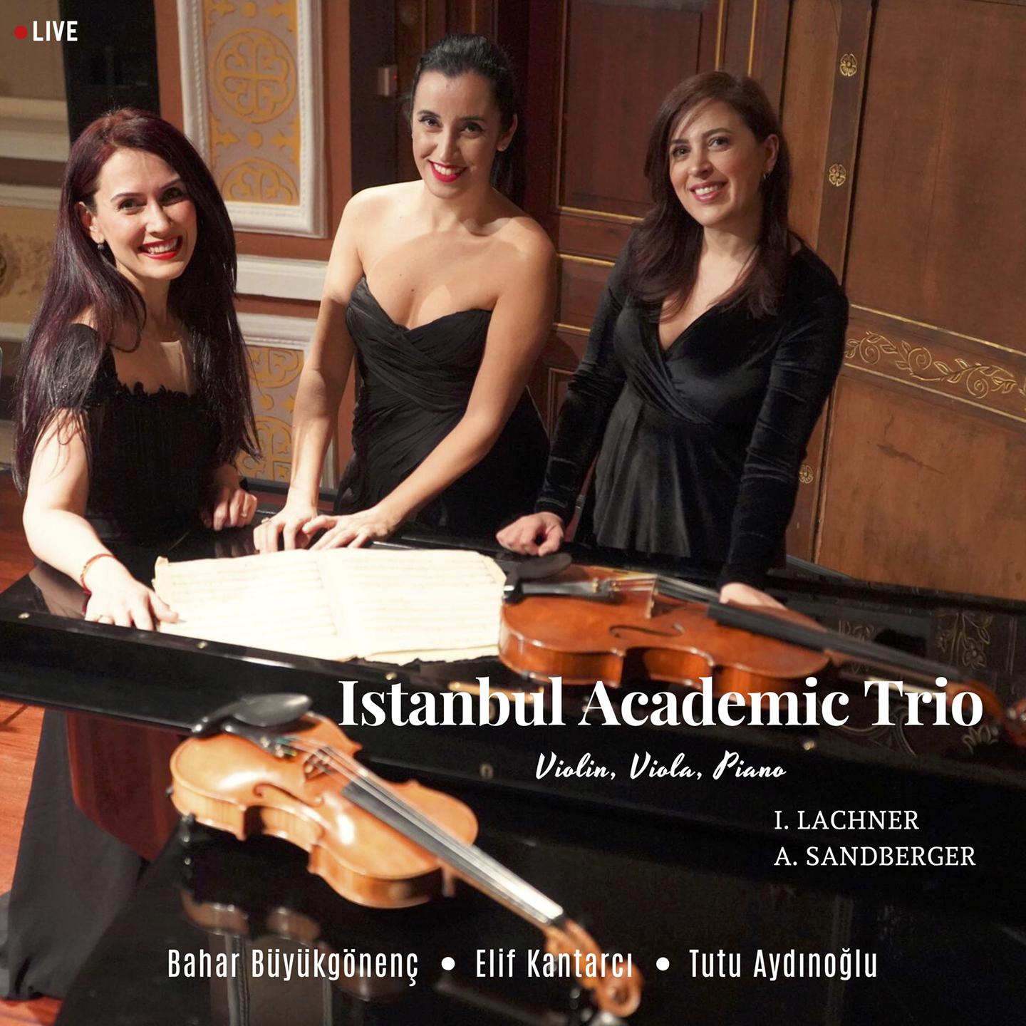 Постер альбома Istanbul Academic Trio: Violin, Viola and Piano