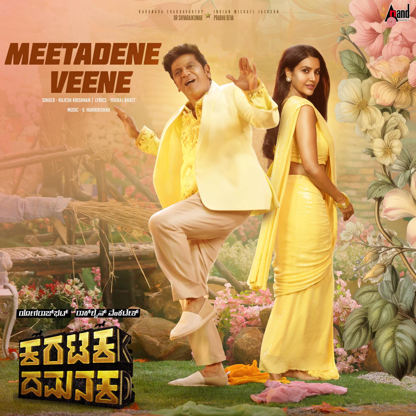 Постер альбома Meetadene Veene