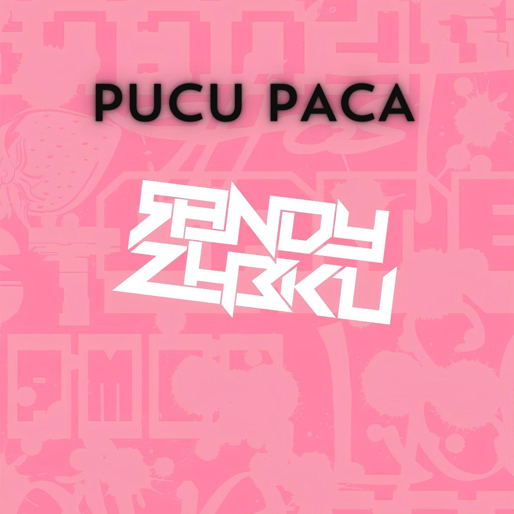 Постер альбома PUCU PACA