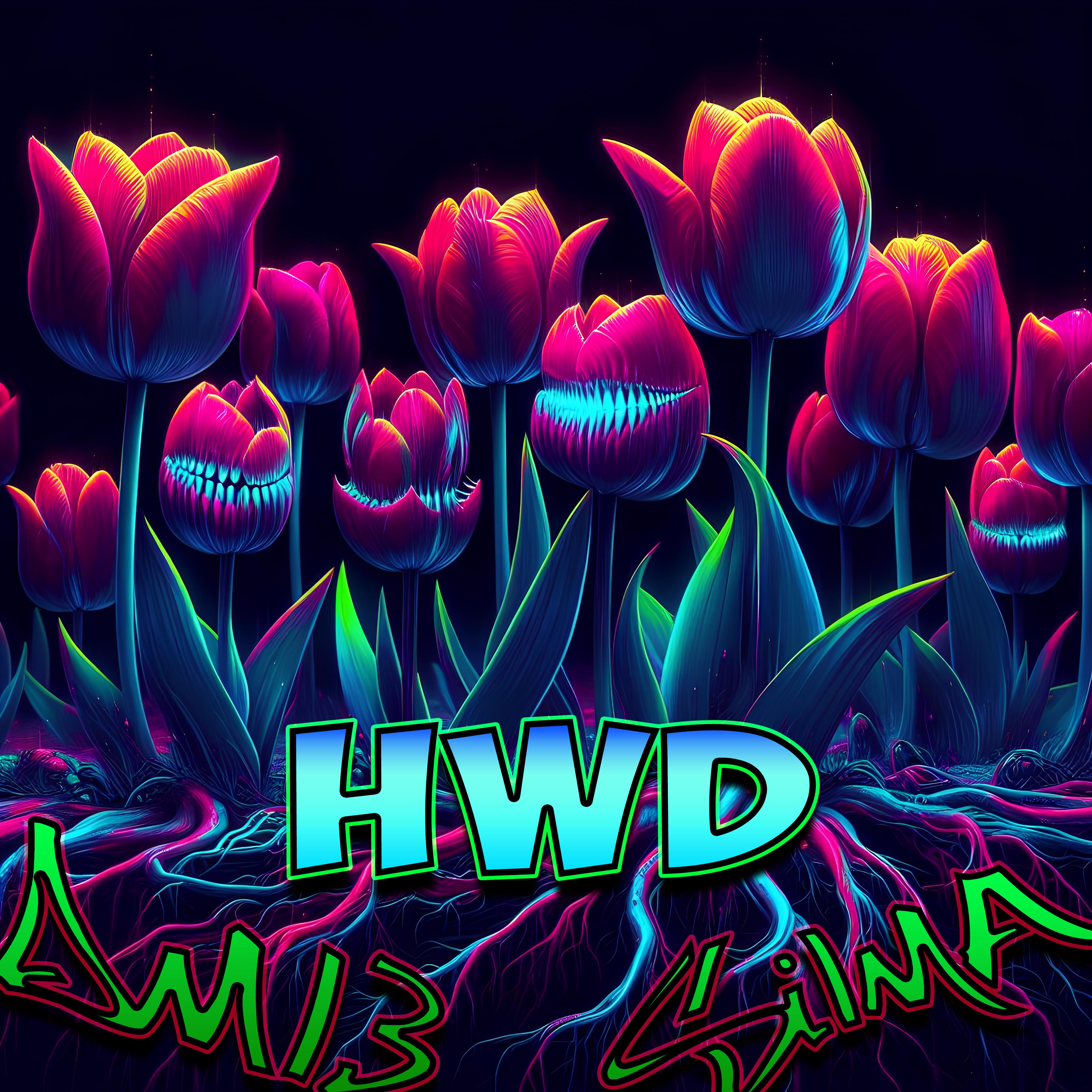 Постер альбома HWD