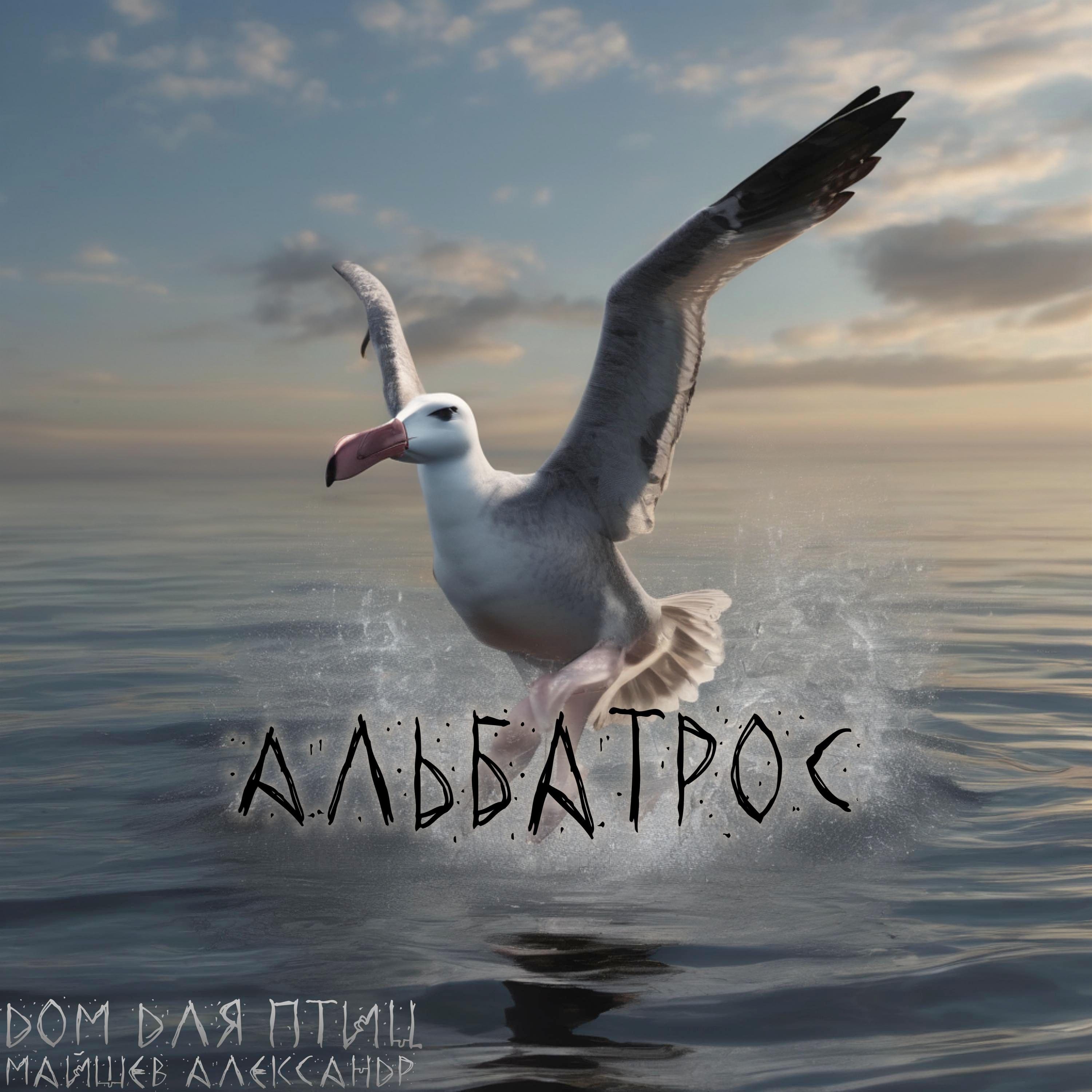 Постер альбома Альбатрос