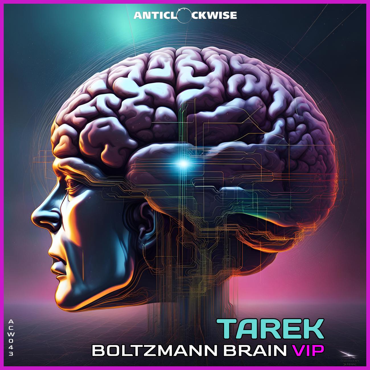 Постер альбома Boltzmann Brain (VIP)