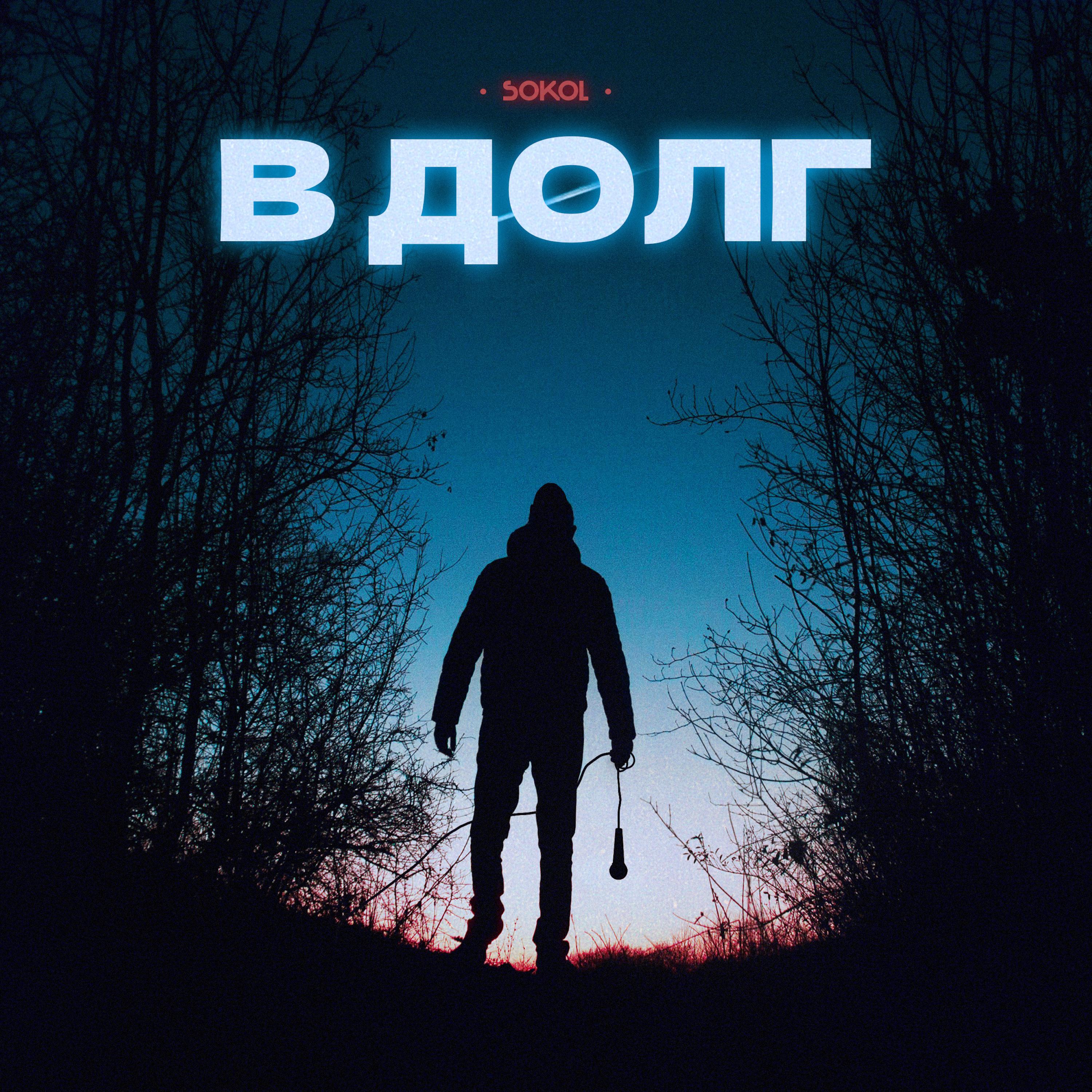 Постер альбома В ДОЛГ