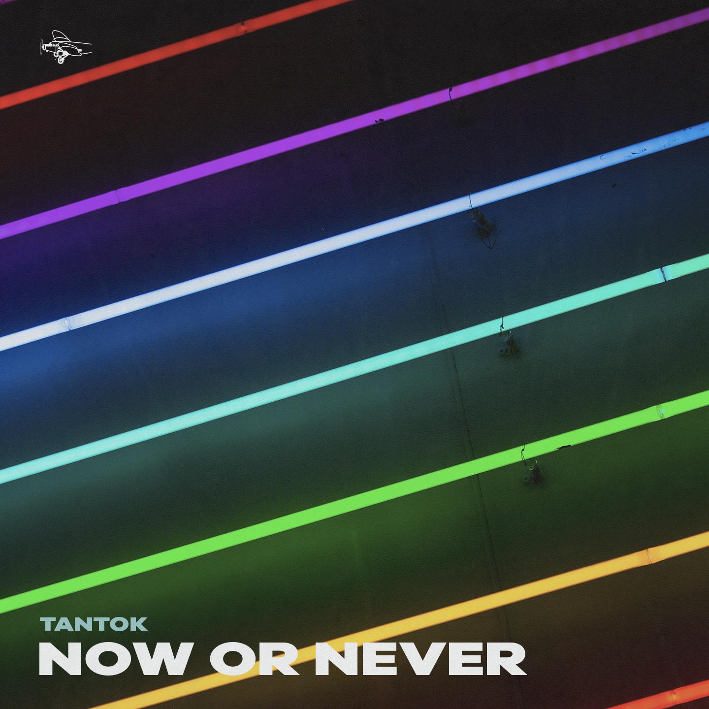 Постер альбома Now or Never