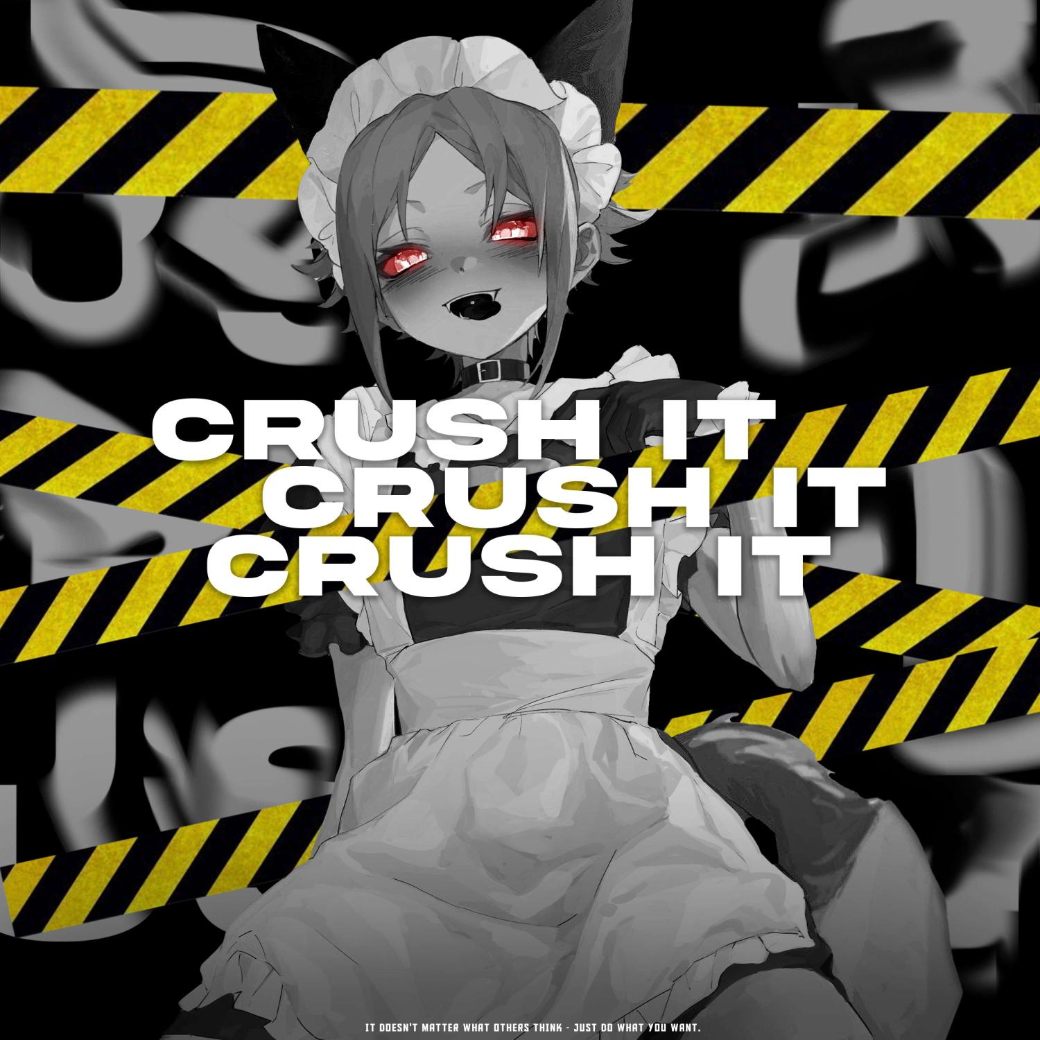 Постер альбома CRUSH IT