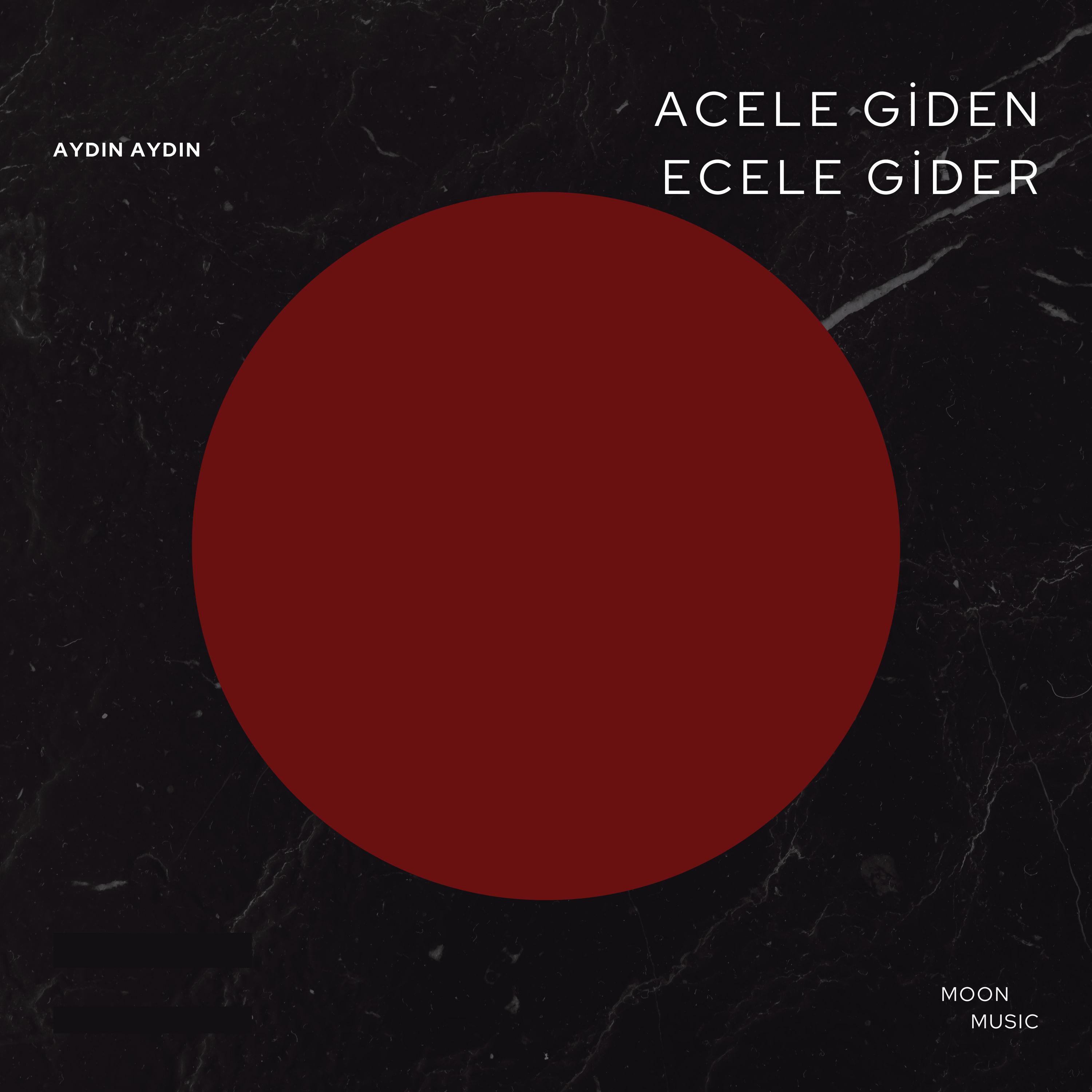 Постер альбома Acele Giden Ecele Gider (Trafik Canavarı)