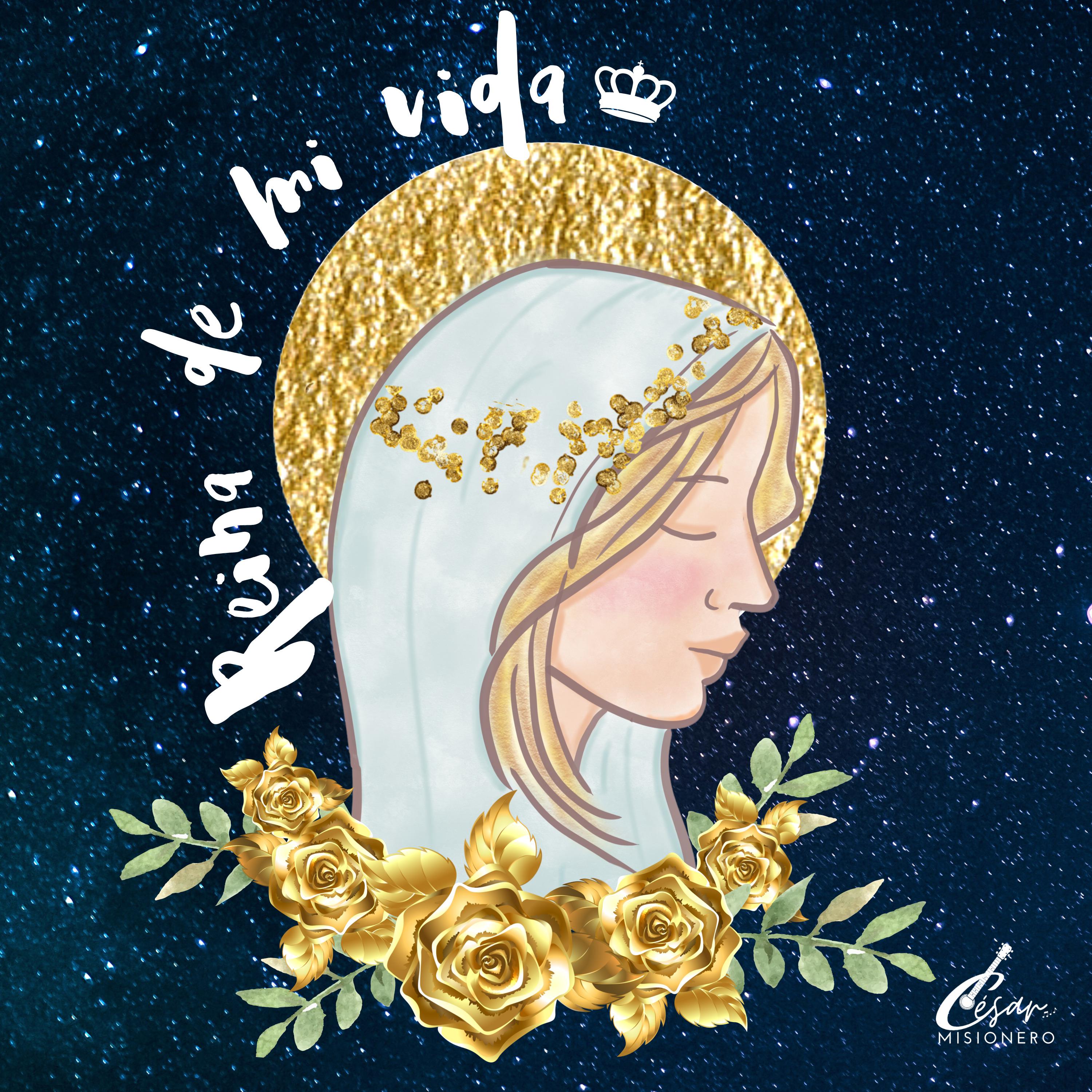Постер альбома Reina de Mi Vida