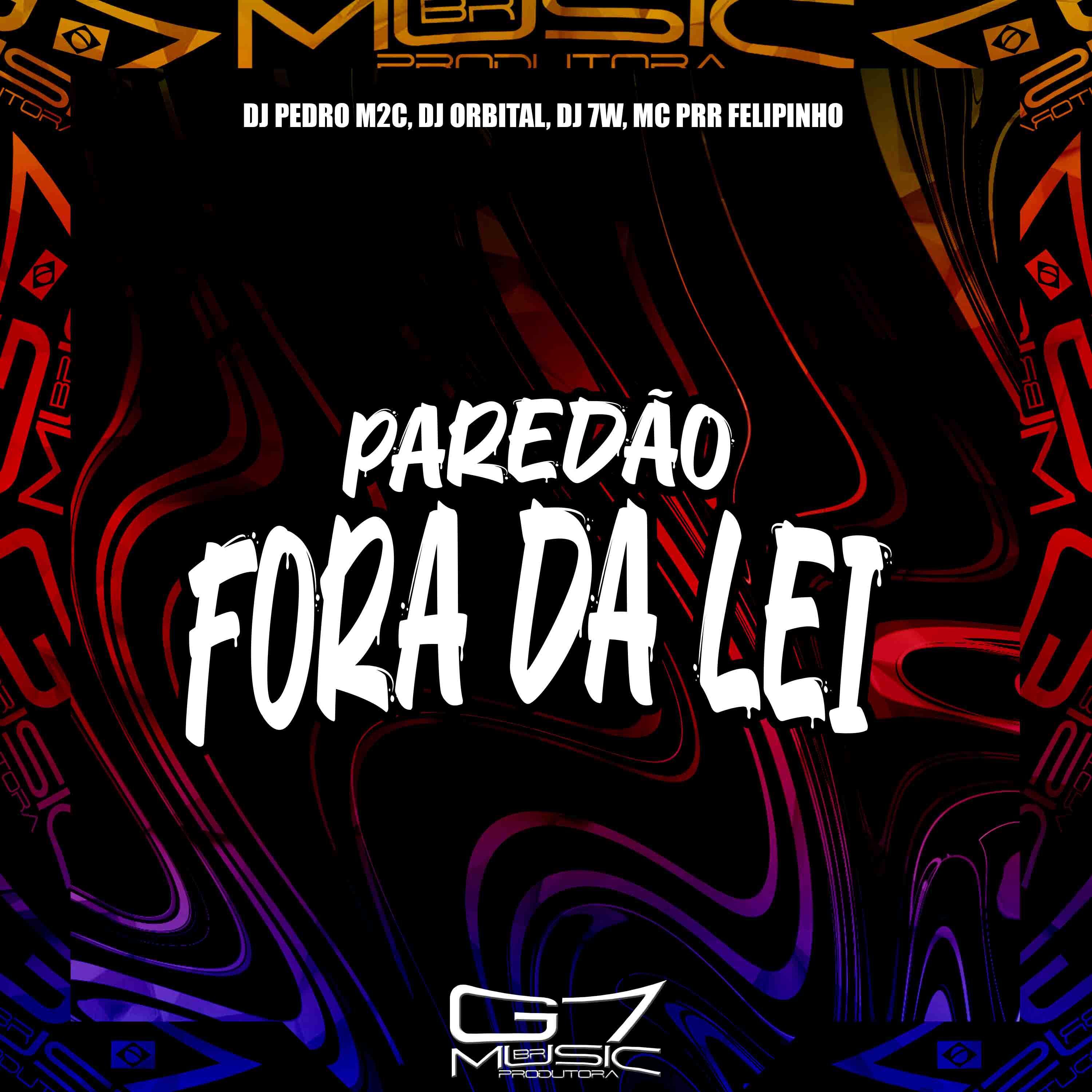 Постер альбома Paredão Fora da Lei