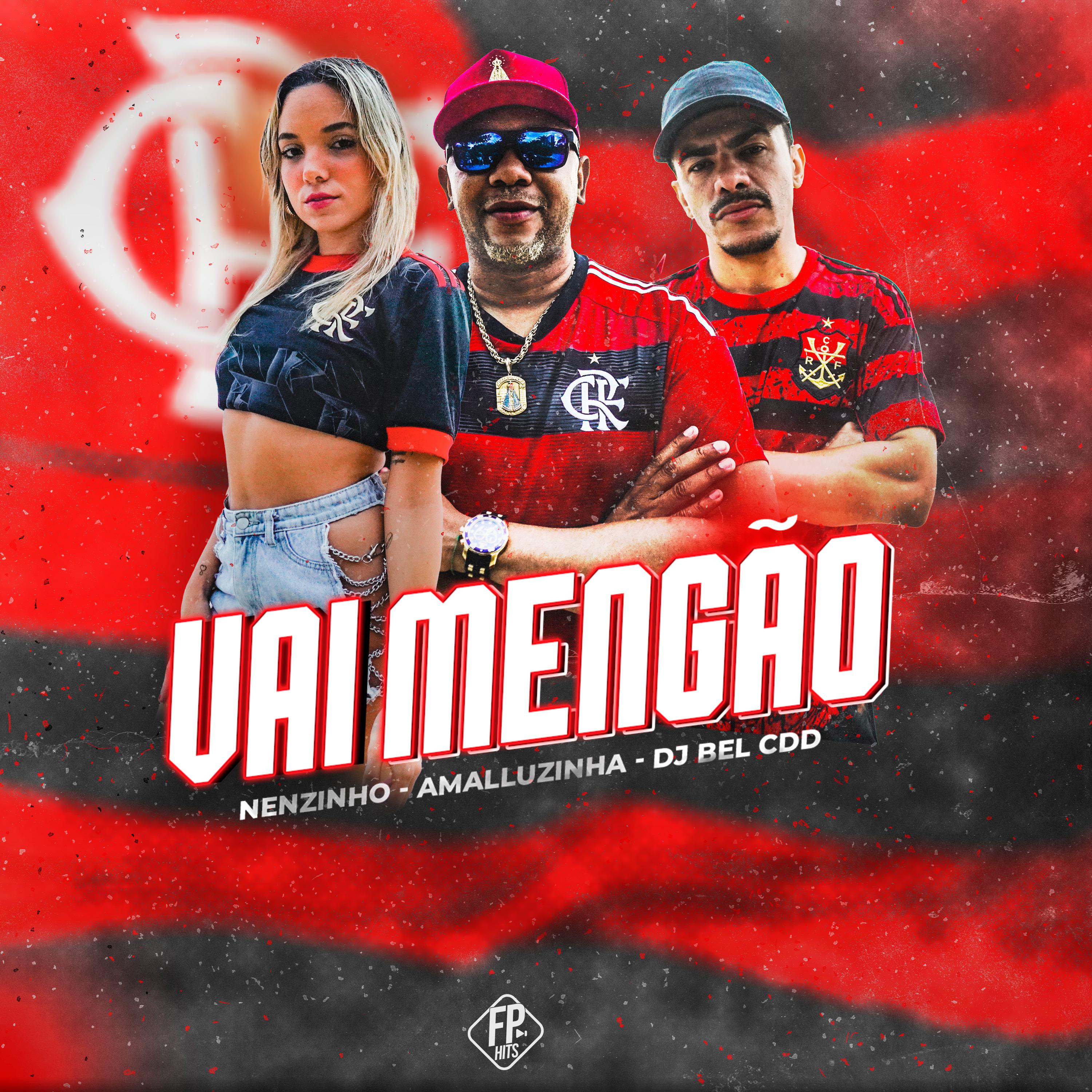 Постер альбома Vai Mengão