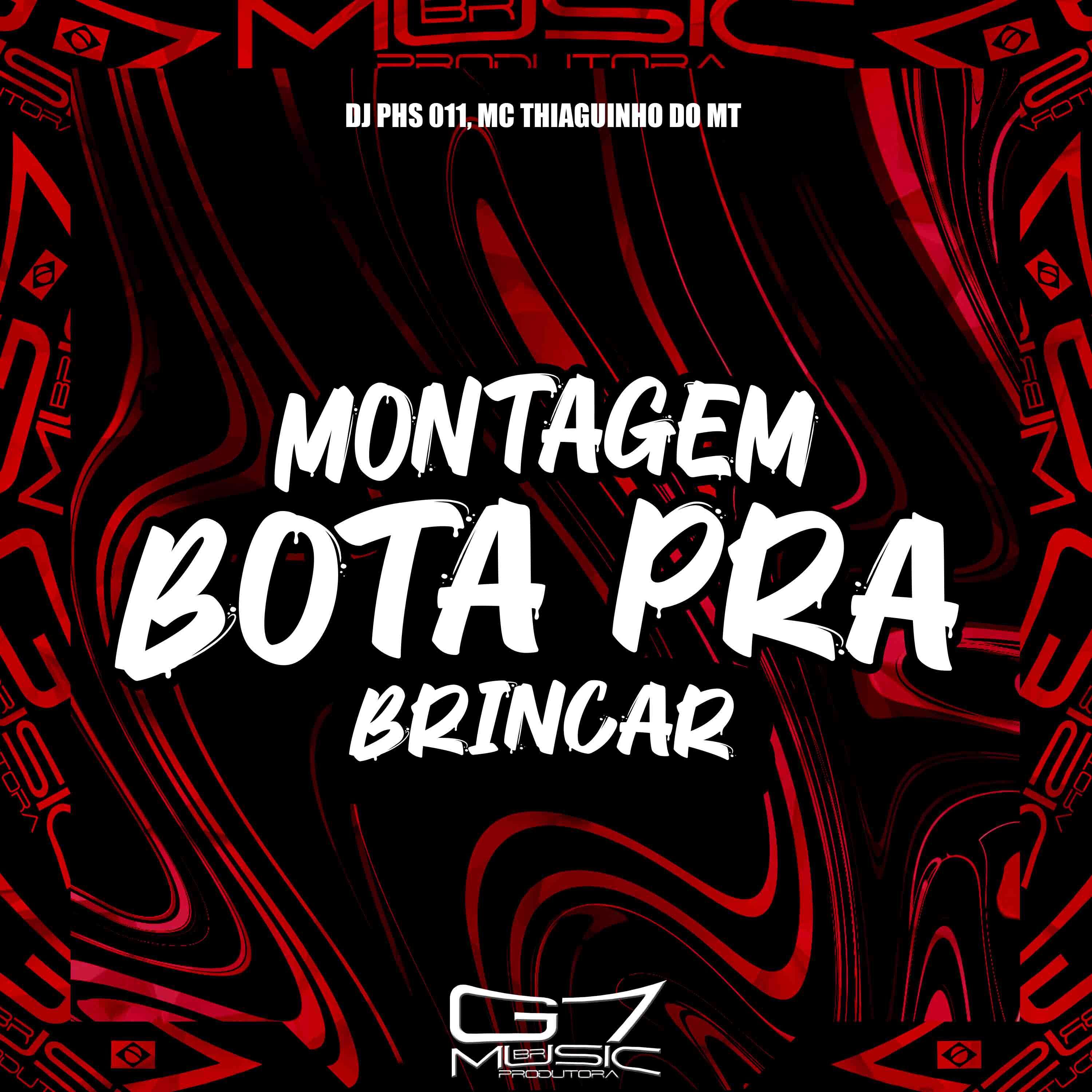 Постер альбома Montagem Bota pra Brinca