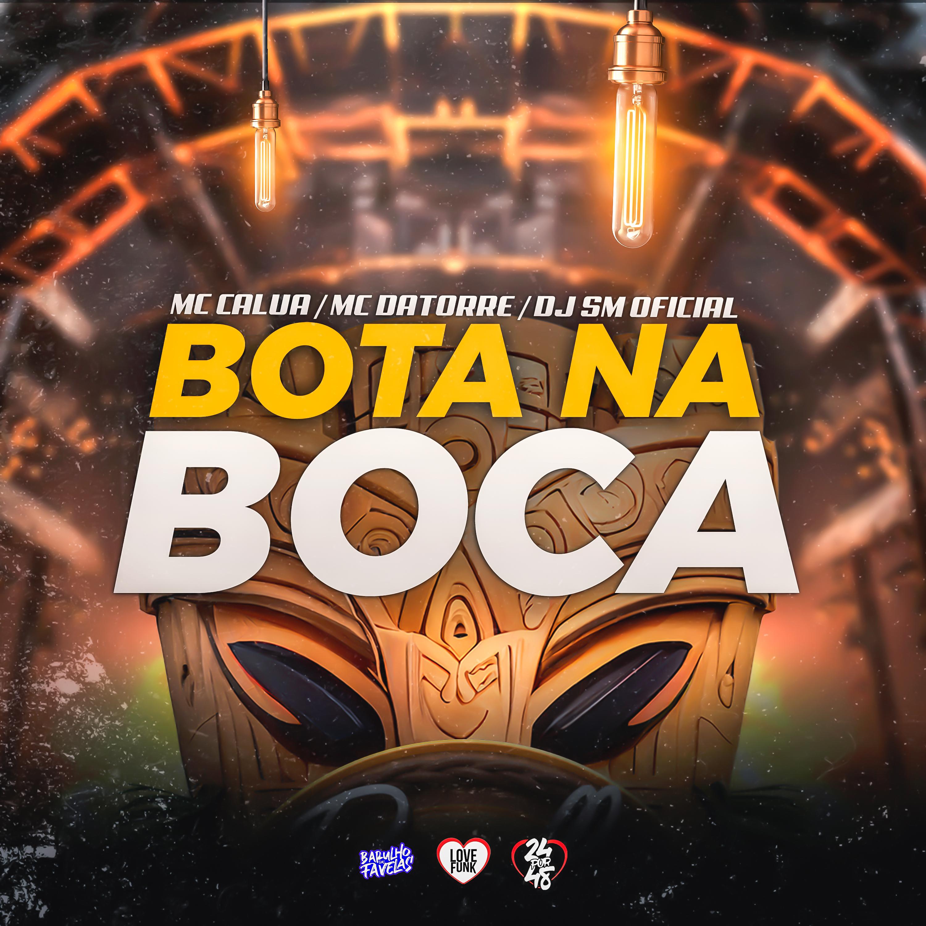 Постер альбома Bota Na Boca
