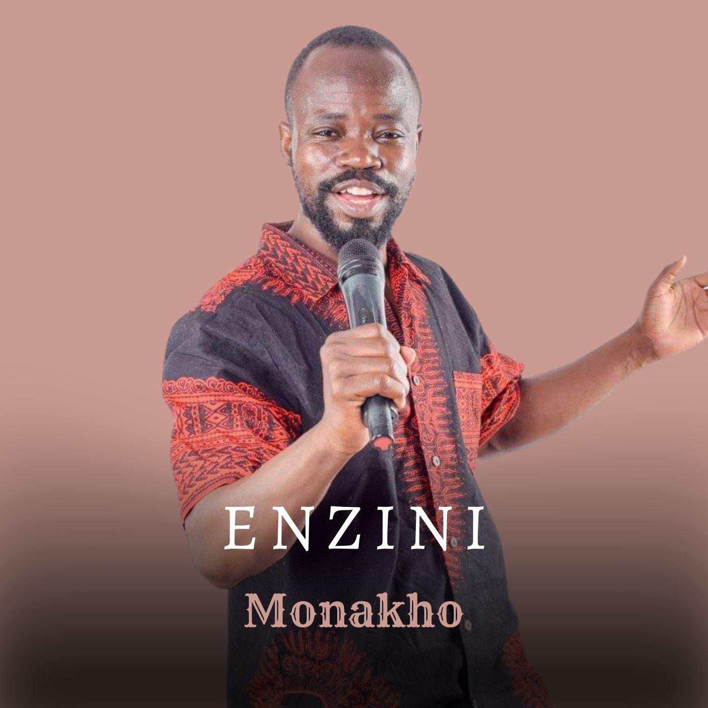 Постер альбома Enzini