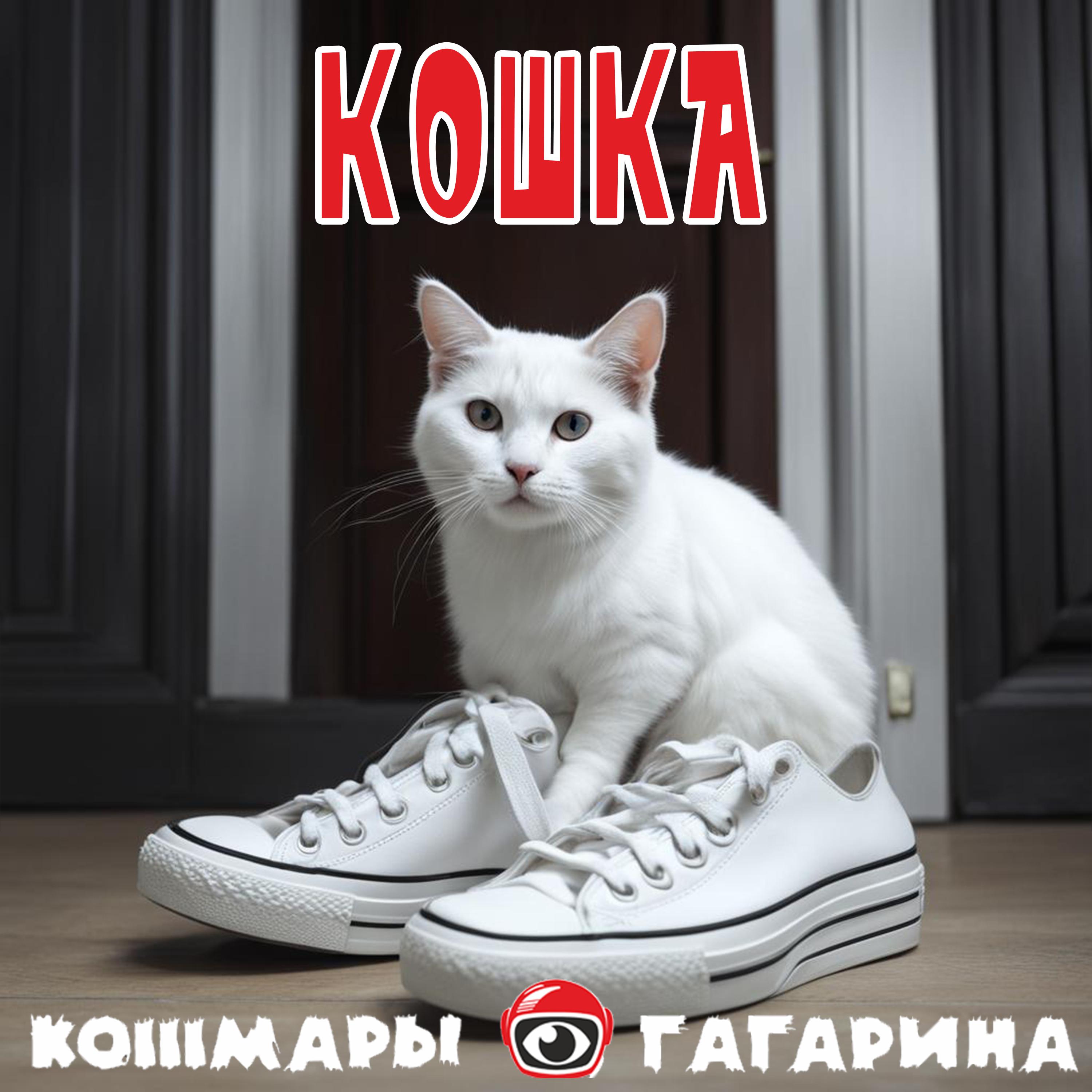 Постер альбома Кошка