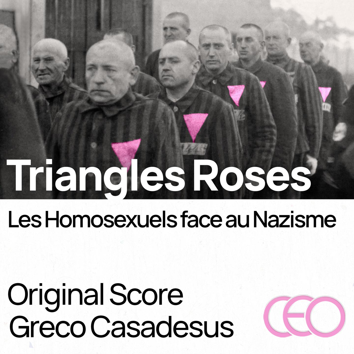 Постер альбома Triangles Roses - Les Homosexuels Face au Nazisme