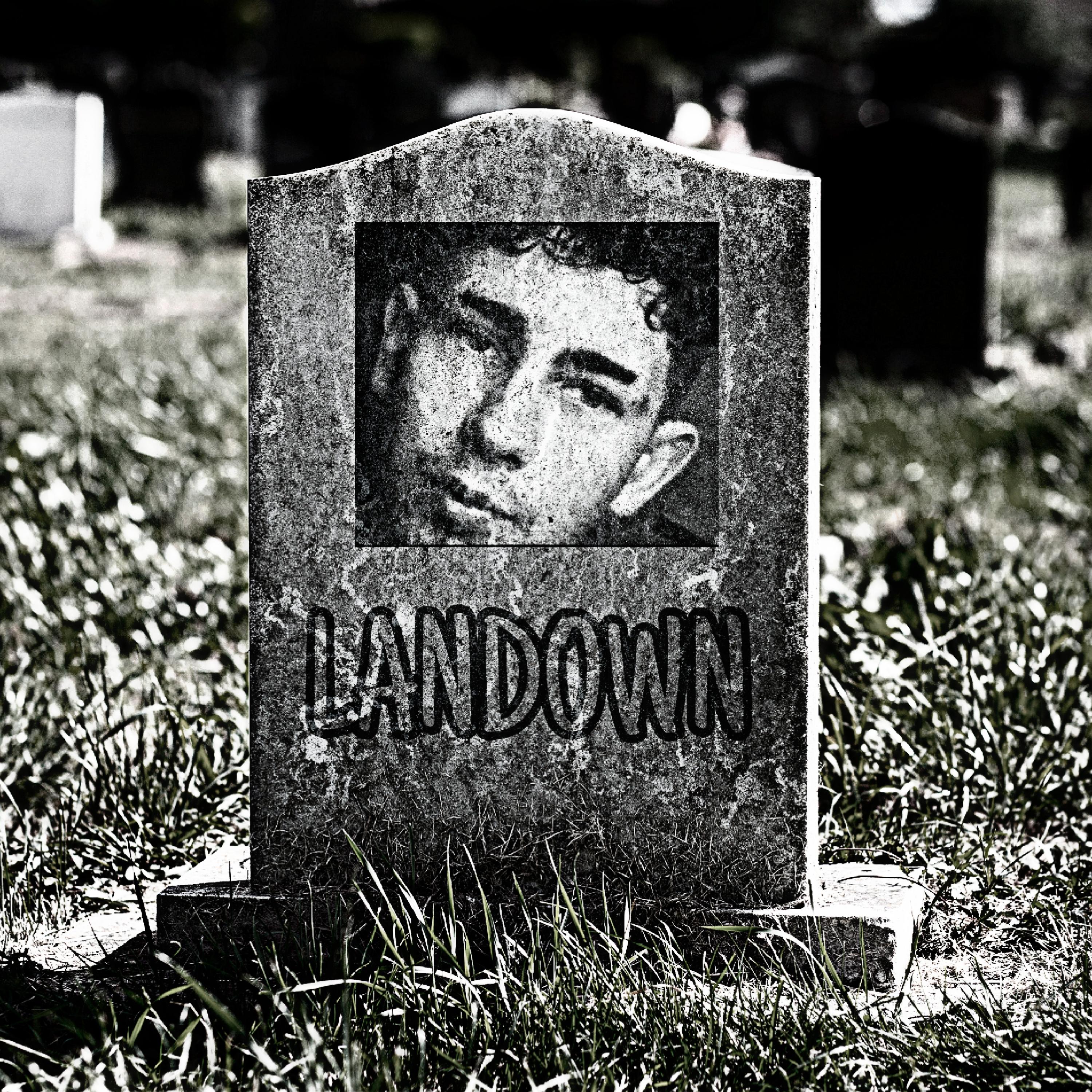 Постер альбома Landown