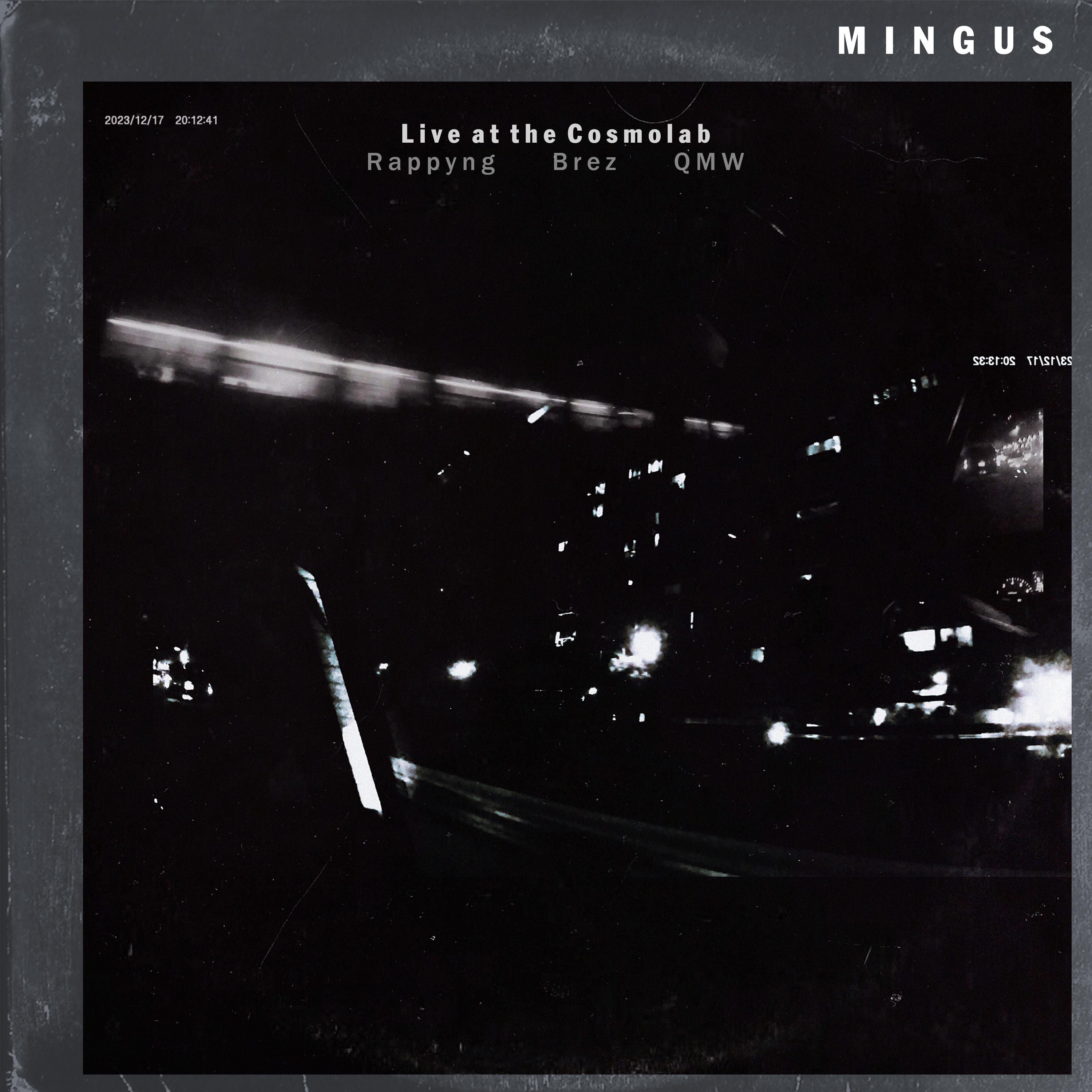 Постер альбома Mingus