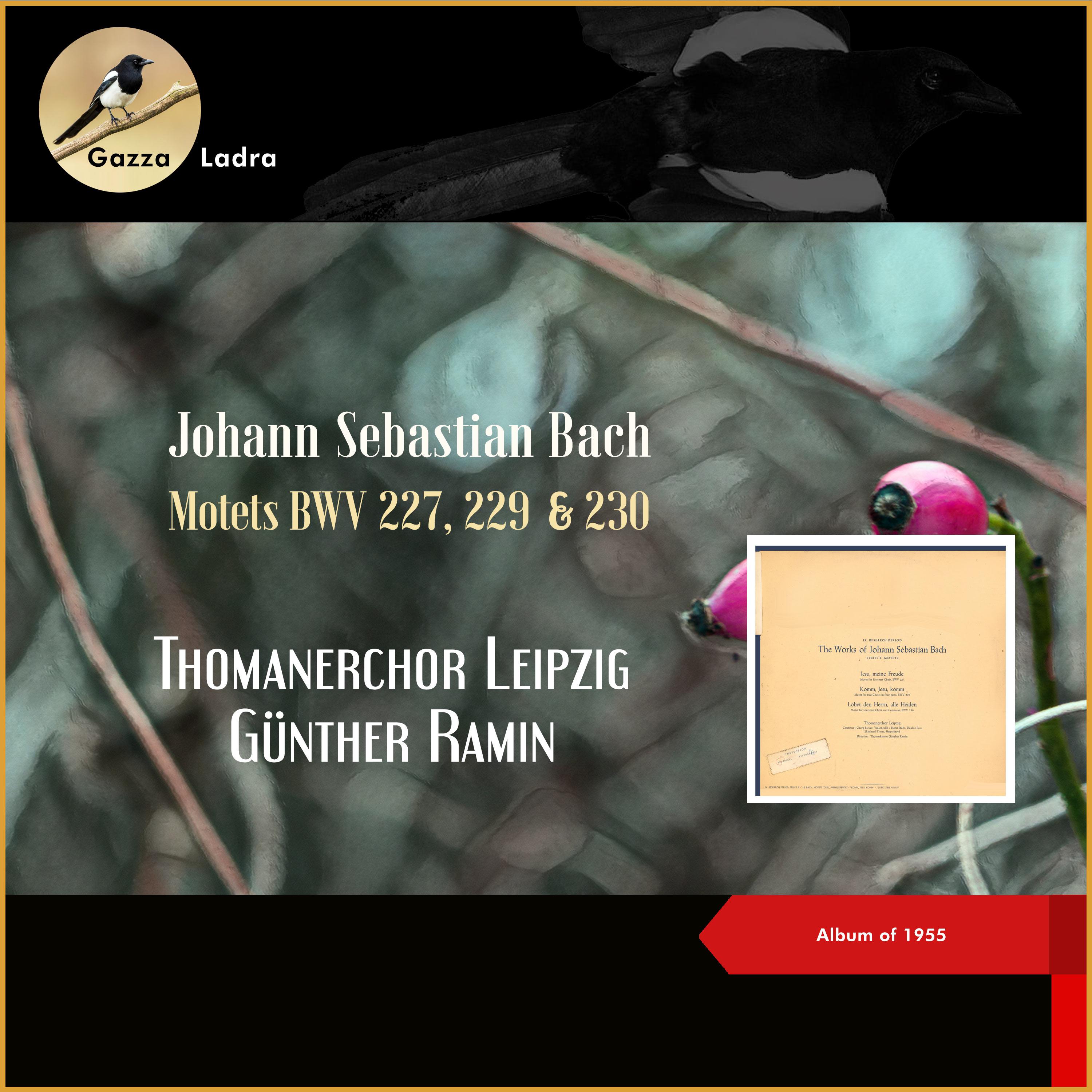 Постер альбома Johann Sebastian Bach: Motets BWV 227, 229 & 230